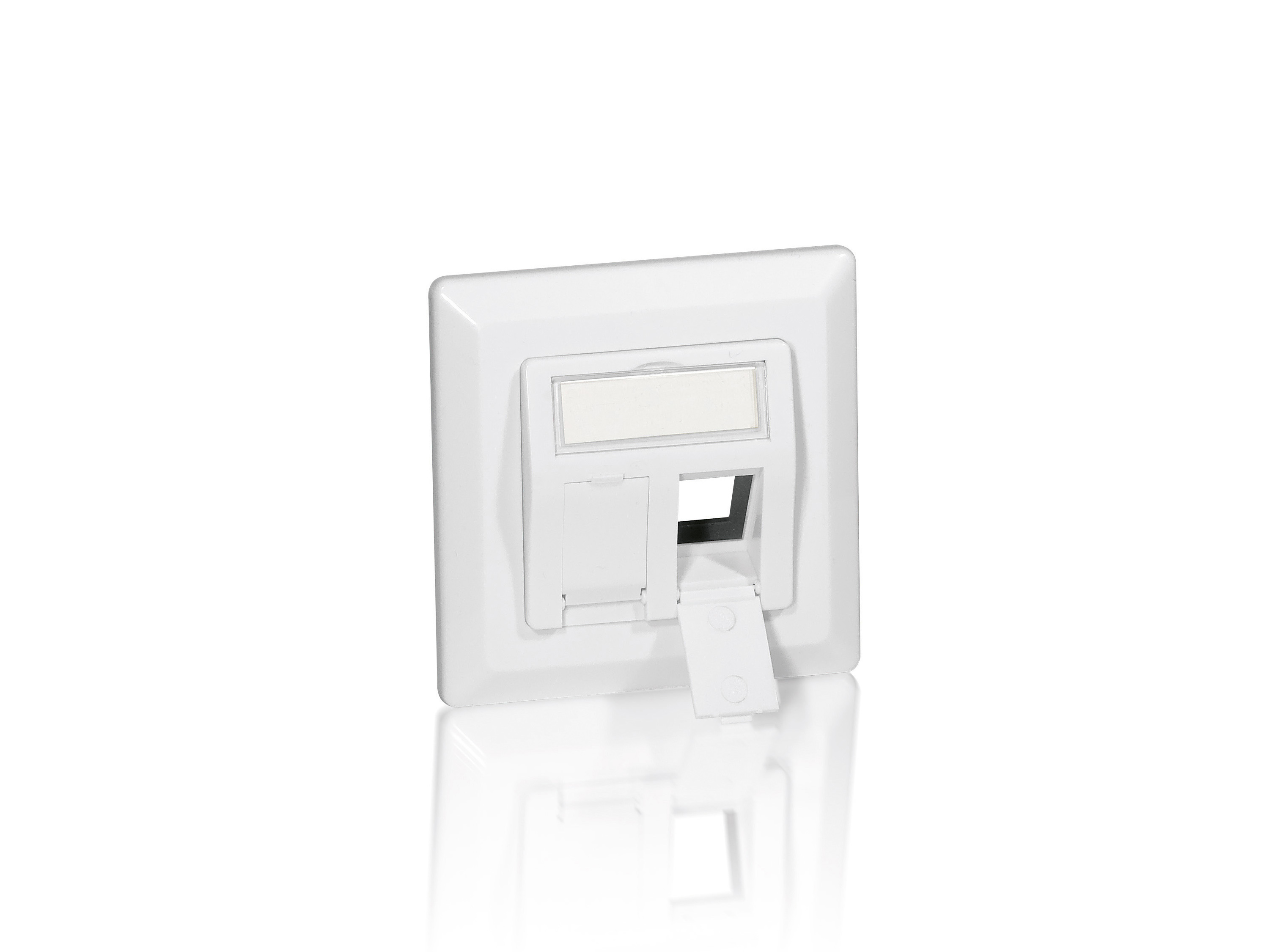 Equip Frontplatte 2xKeystone Jack 45° RAL9010 Polybeutel