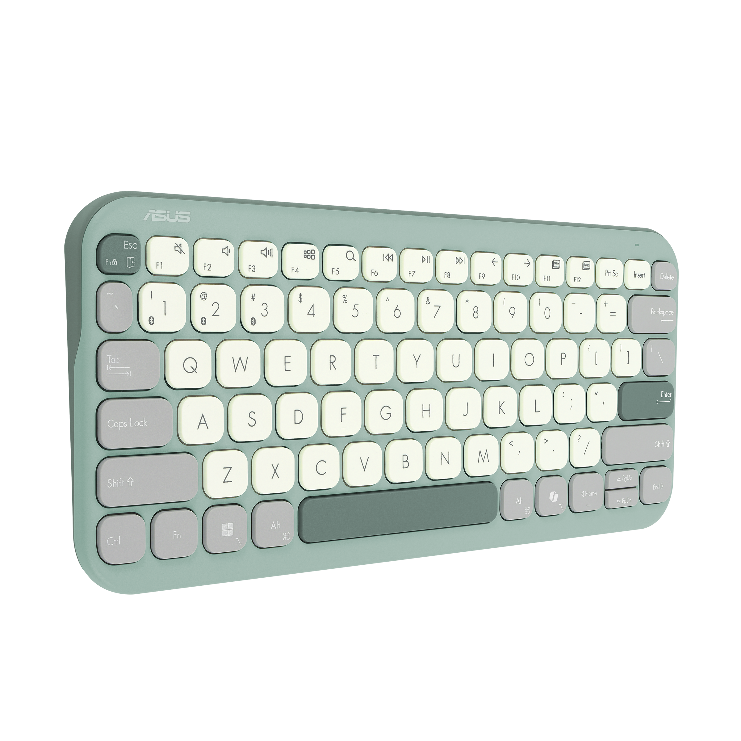 ASUS KW100 Marshmallow Tastatur grün