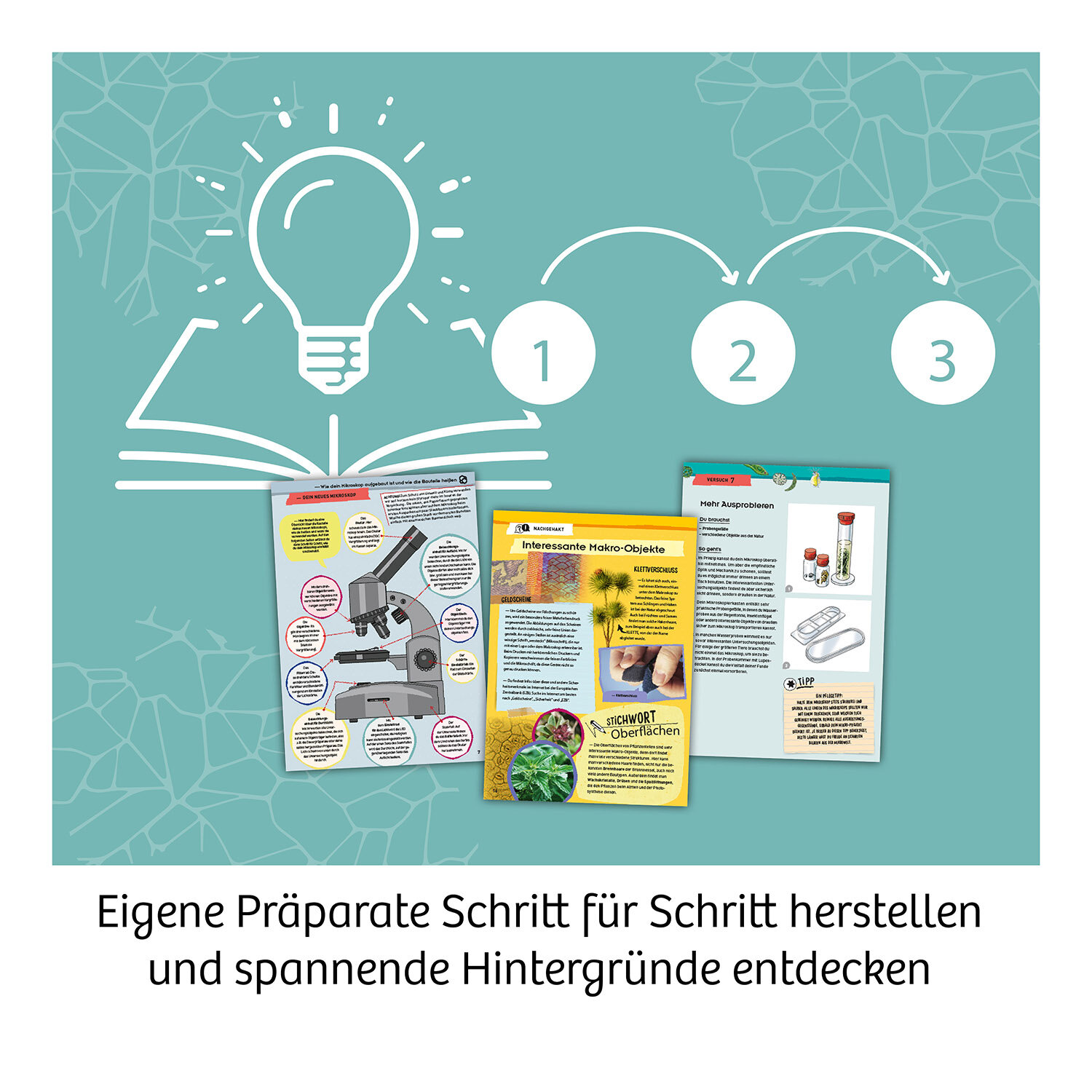 Mikroskop, Experimentierkasten