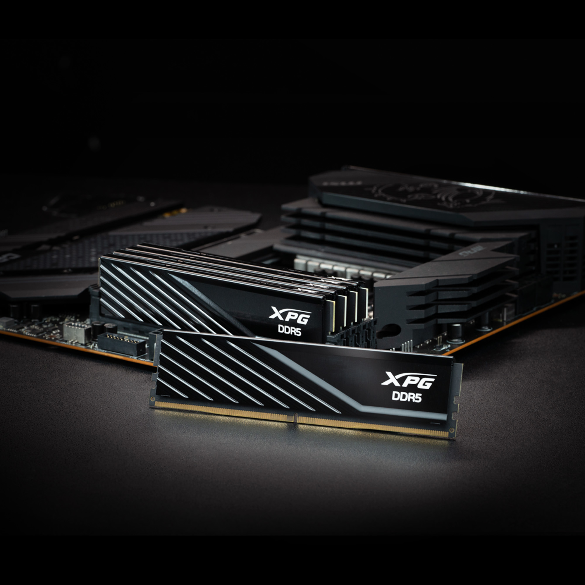 DIMM 32 GB DDR5-6000 (2x 16 GB) Dual-Kit, Arbeitsspeicher