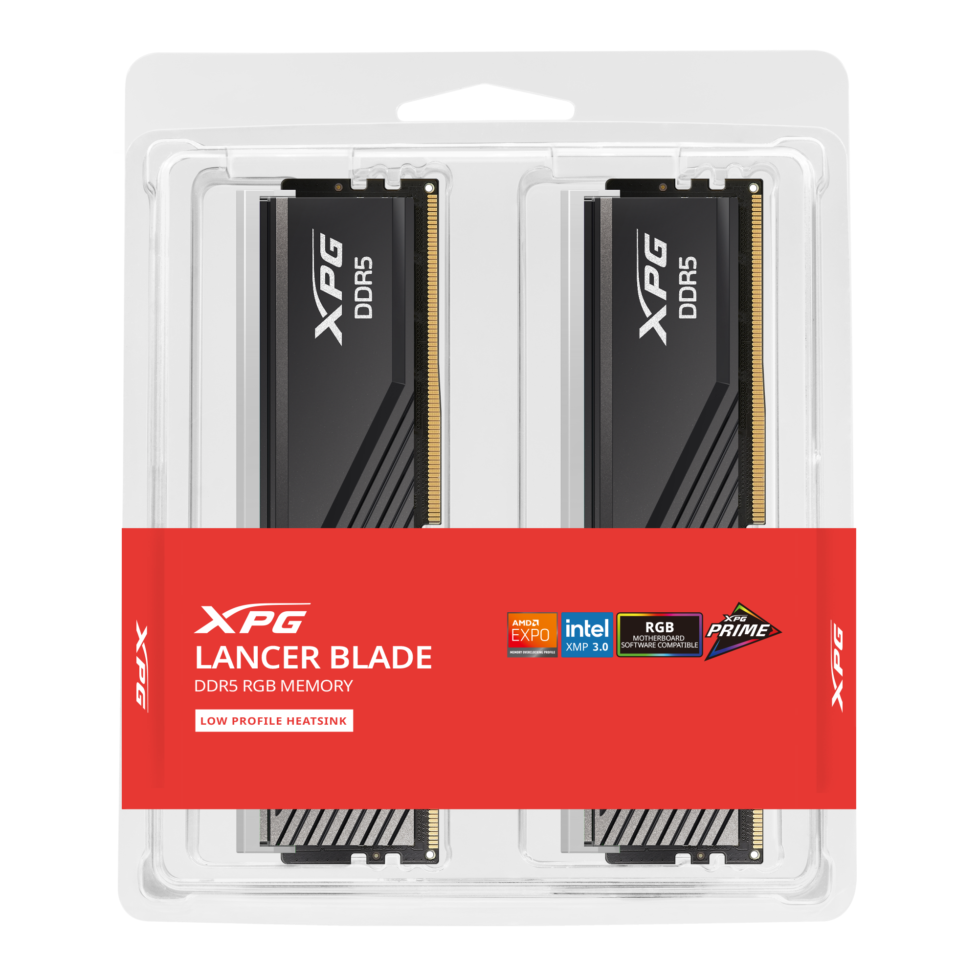 DIMM 32 GB DDR5-6000 (2x 16 GB) Dual-Kit, Arbeitsspeicher