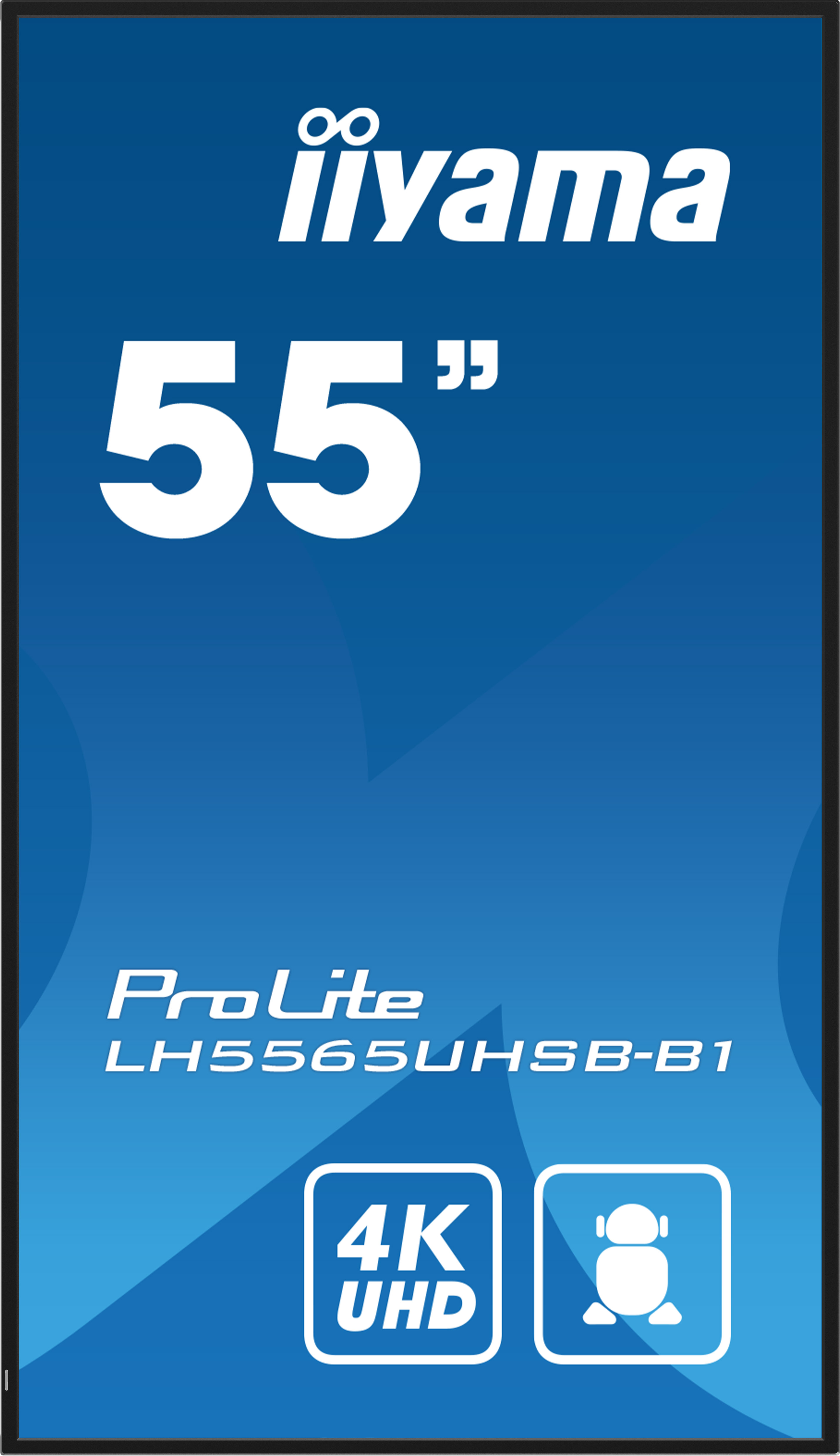 LH5565UHSB-B1 55IN LCD UHD 55 3840X2160 UHD IPS PANEL HAZE
