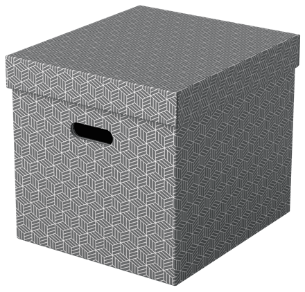 Esselte Home Aufbewahrungsboxen 33,0 l grau 32,0 x 36,5 x 31,5 cm, 3 St.