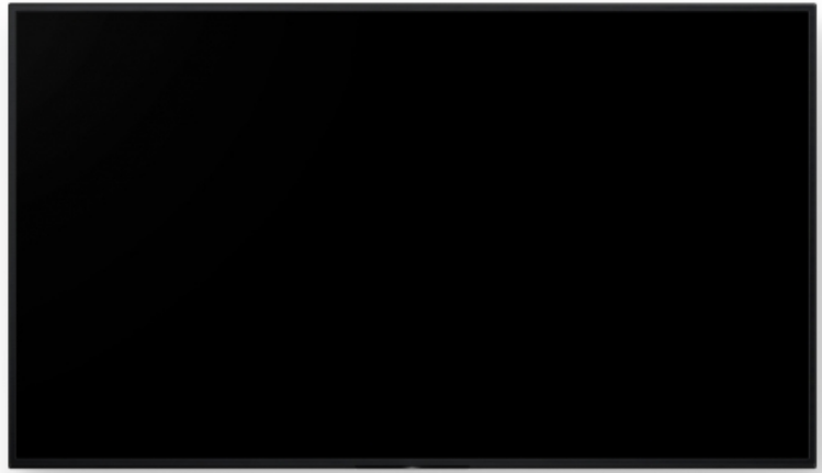 FW-55BZ40L 55INCH PRO BRAVIA LCD 700NIT HAZE