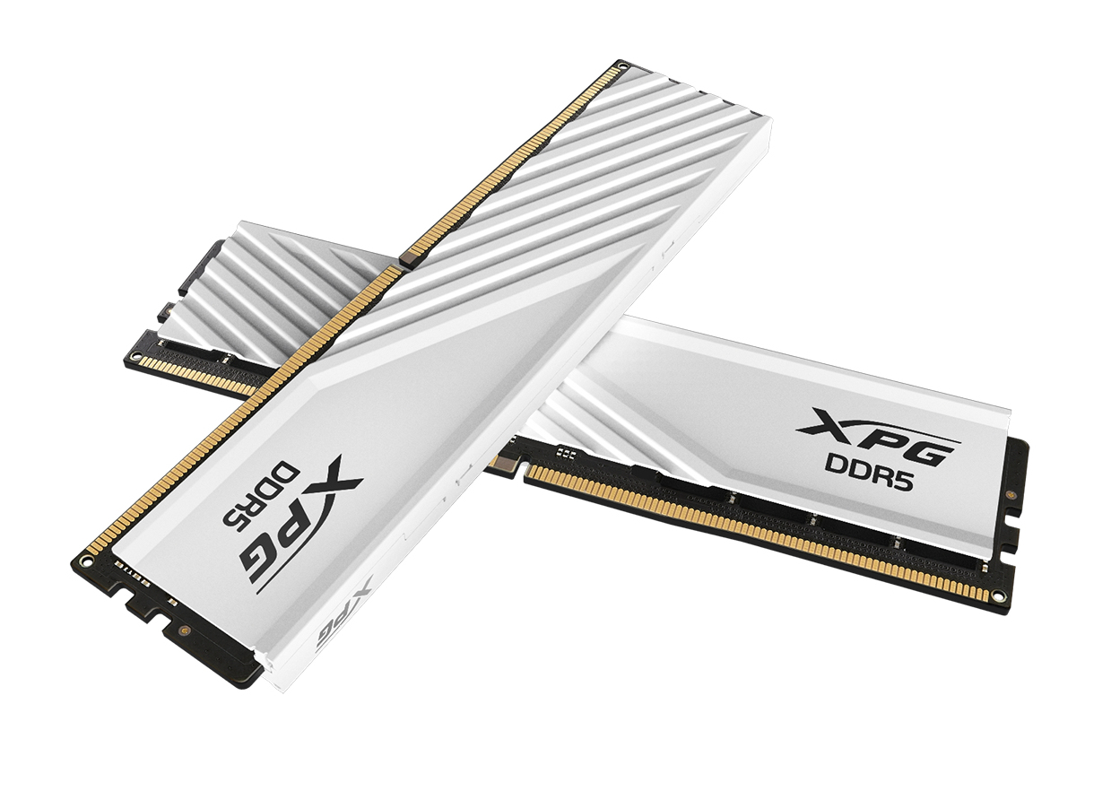DIMM 32 GB DDR5-5600 (1x 32 GB), Arbeitsspeicher