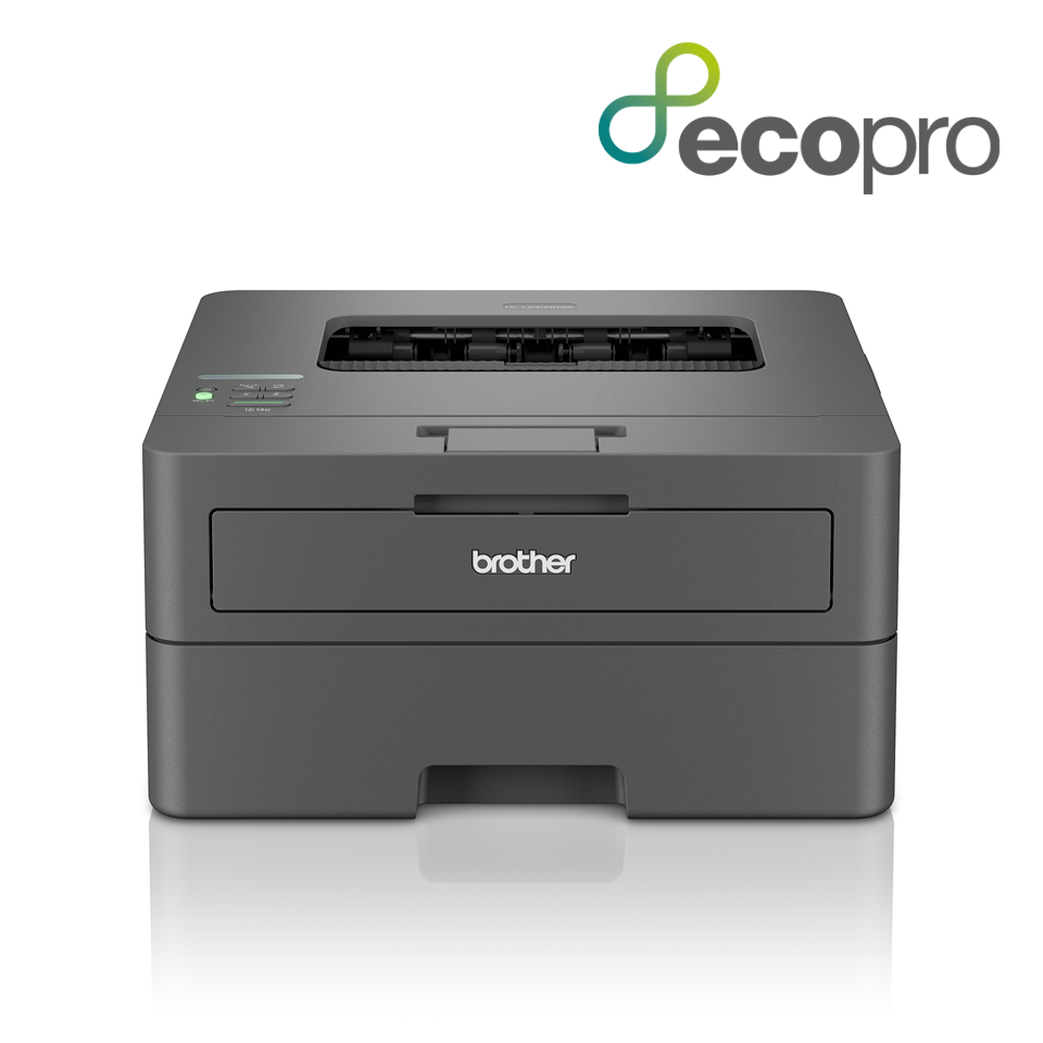 Brother HL-L2400DWE sw-Laser
