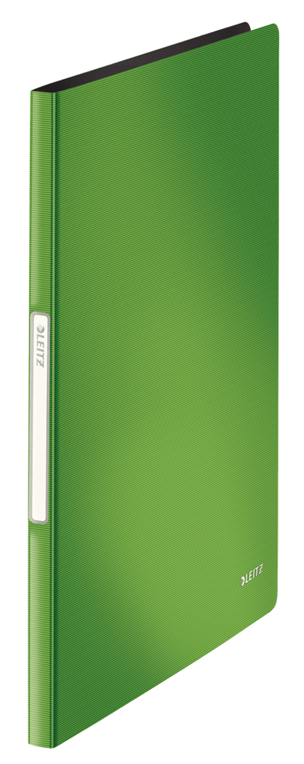 LEITZ Solid Sichtbuch DIN A4, 20 Hüllen hellgrün, 1 St.
