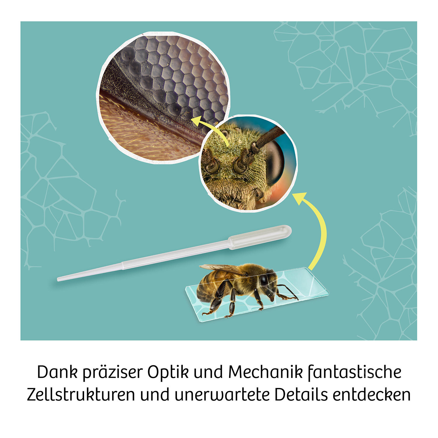 Mikroskop, Experimentierkasten