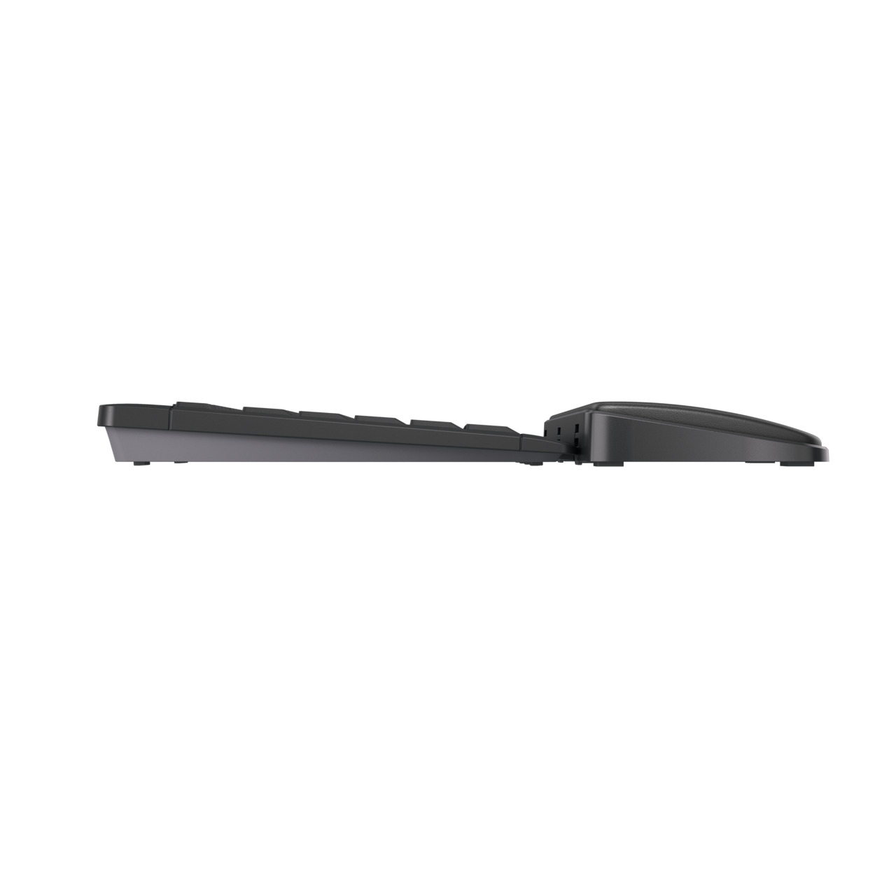 PALMREST ERGO BLACK