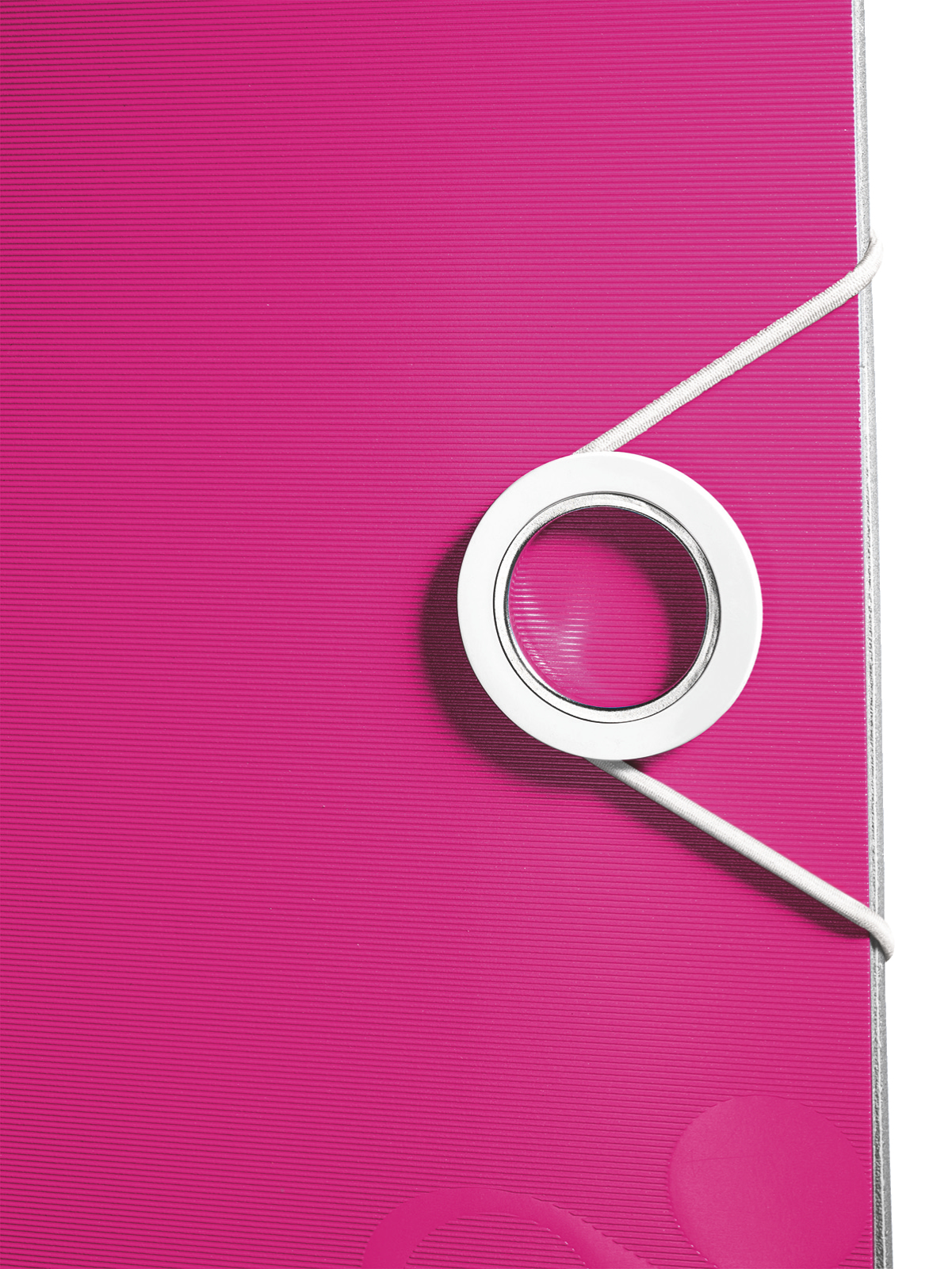 LEITZ Active WOW 1106 Ordner pink Kunststoff 8,2 cm DIN A4, 1 St.