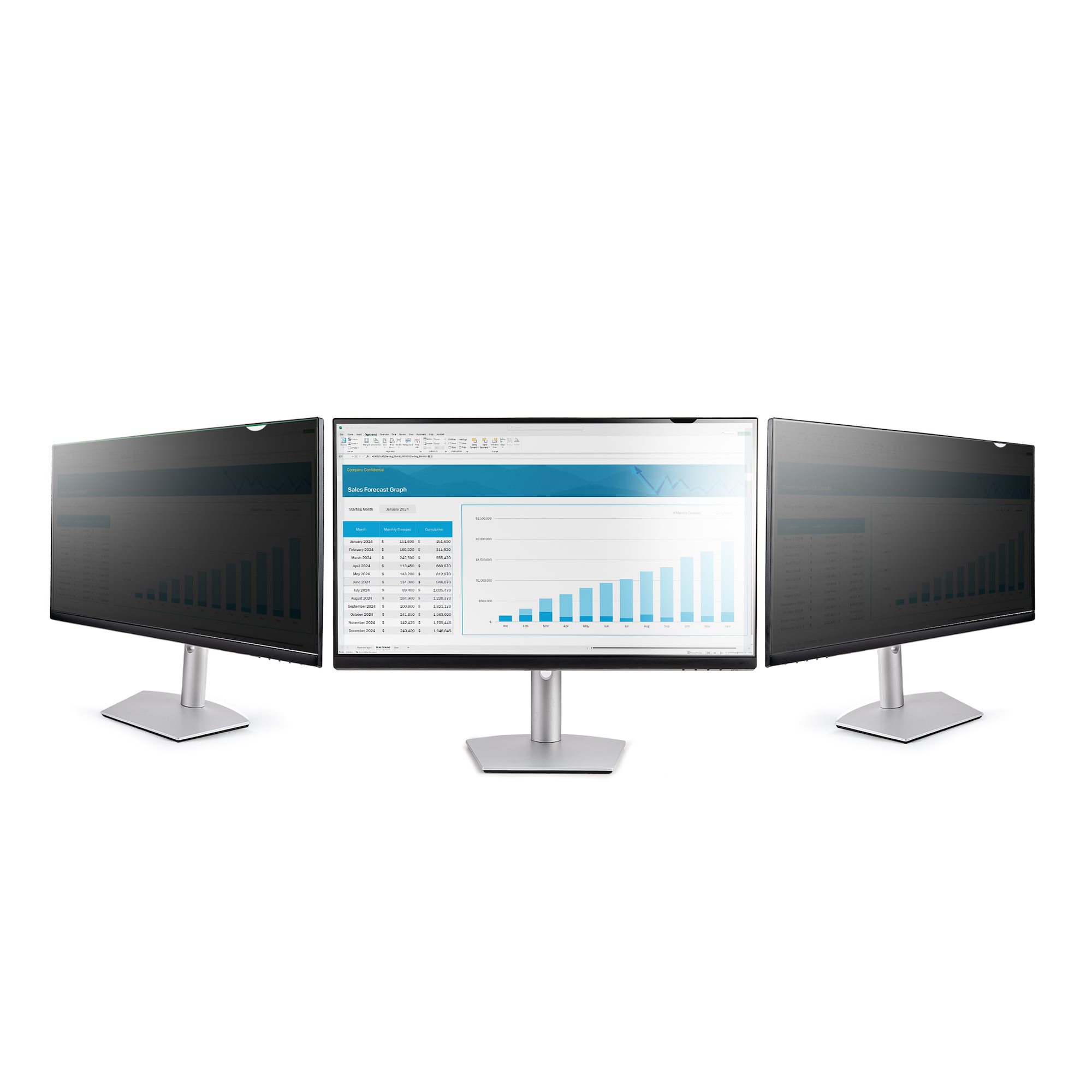 25 MONITOR PRIVACY SCREEN .