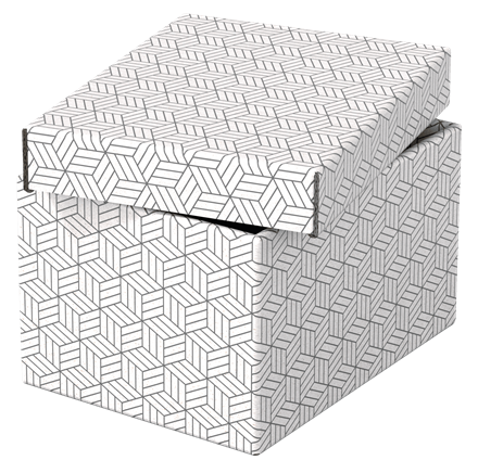 Esselte Home Aufbewahrungsboxen 6,5 l weiß 20,0 x 25,5 x 15,0 cm, 3 St.