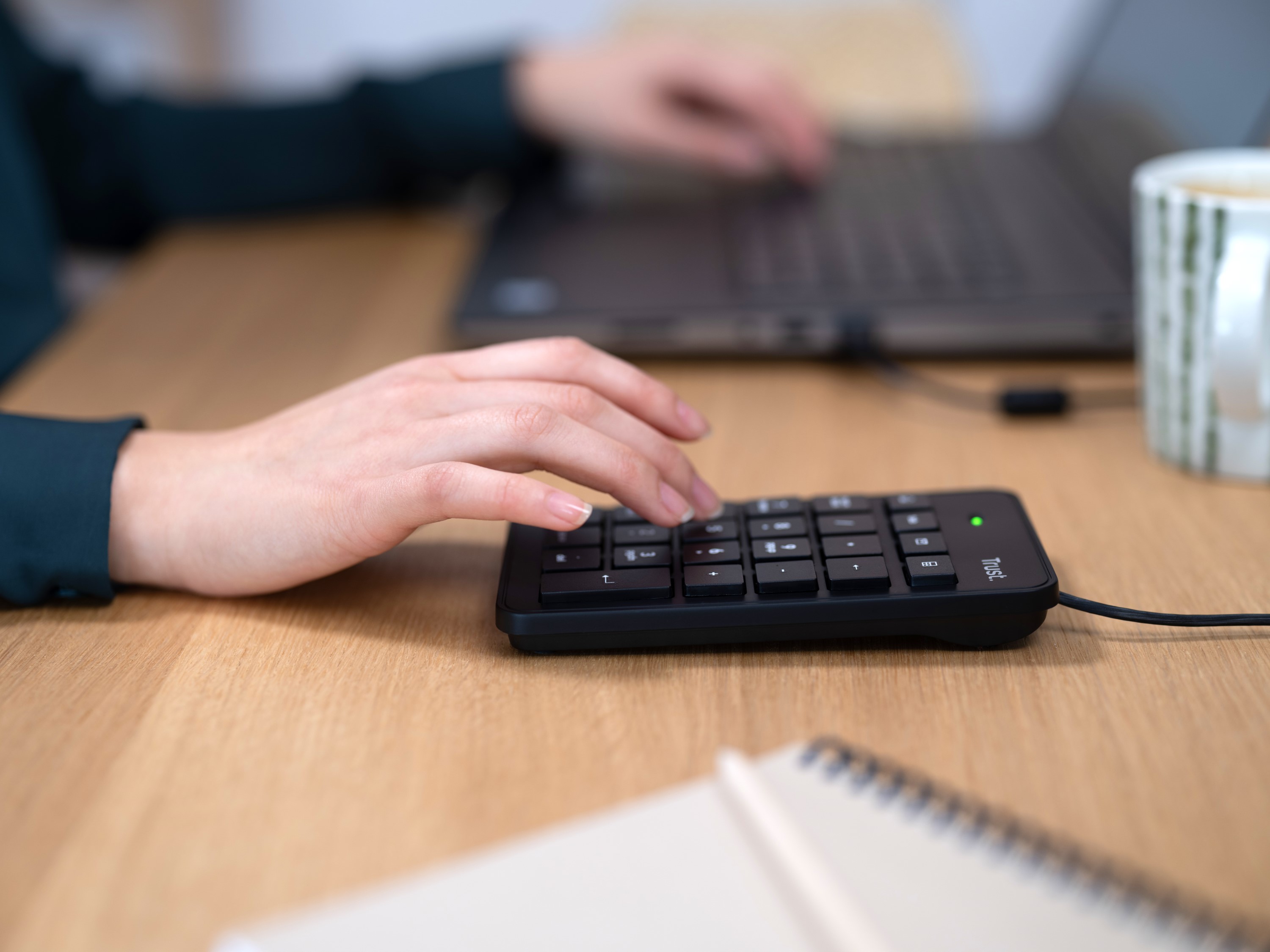 XALAS USB NUMERIC WIRED KEYPAD .