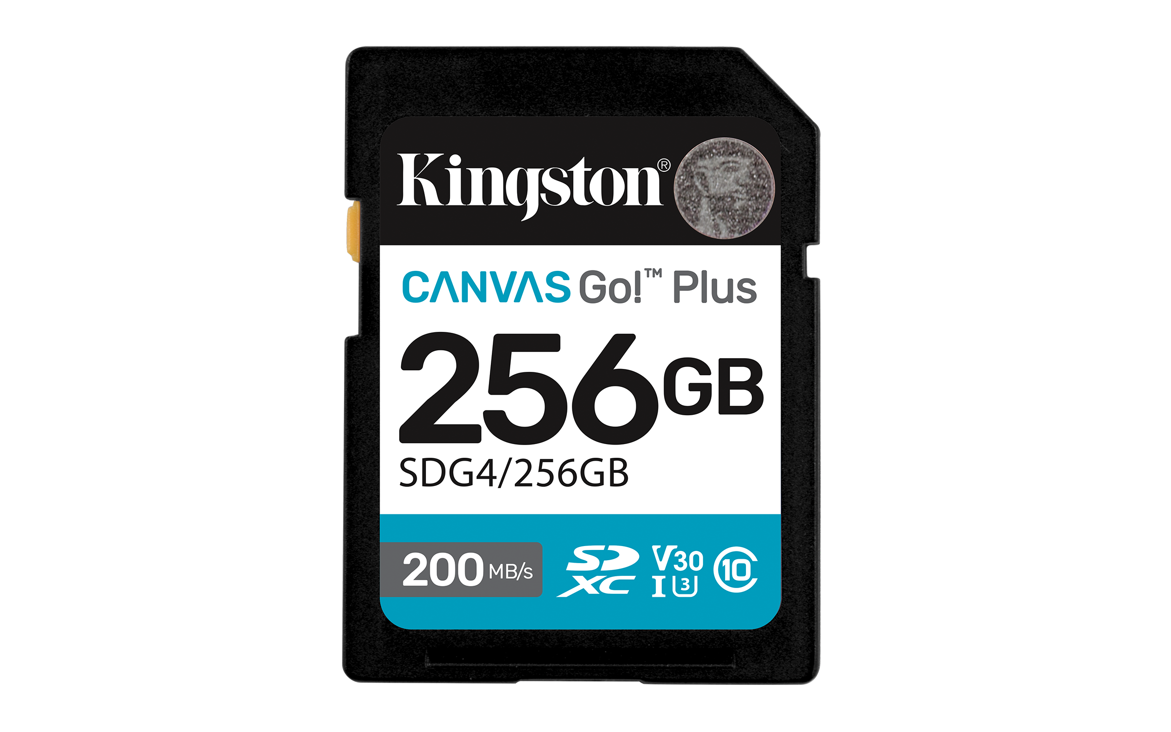 Canvas Go! Plus 256GB SDXC, Speicherkarte