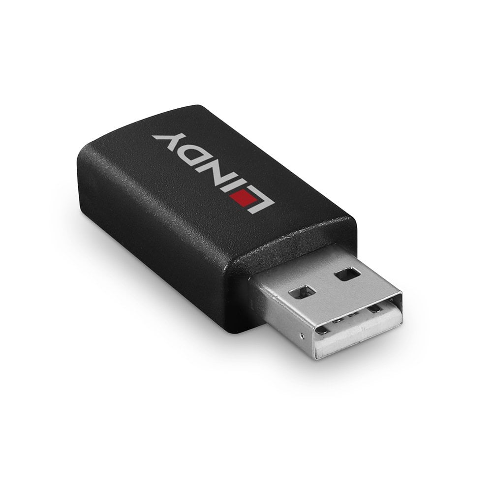 LINDY USB 2.0 Typ A an A Datenblocker Battery Charging 1.2