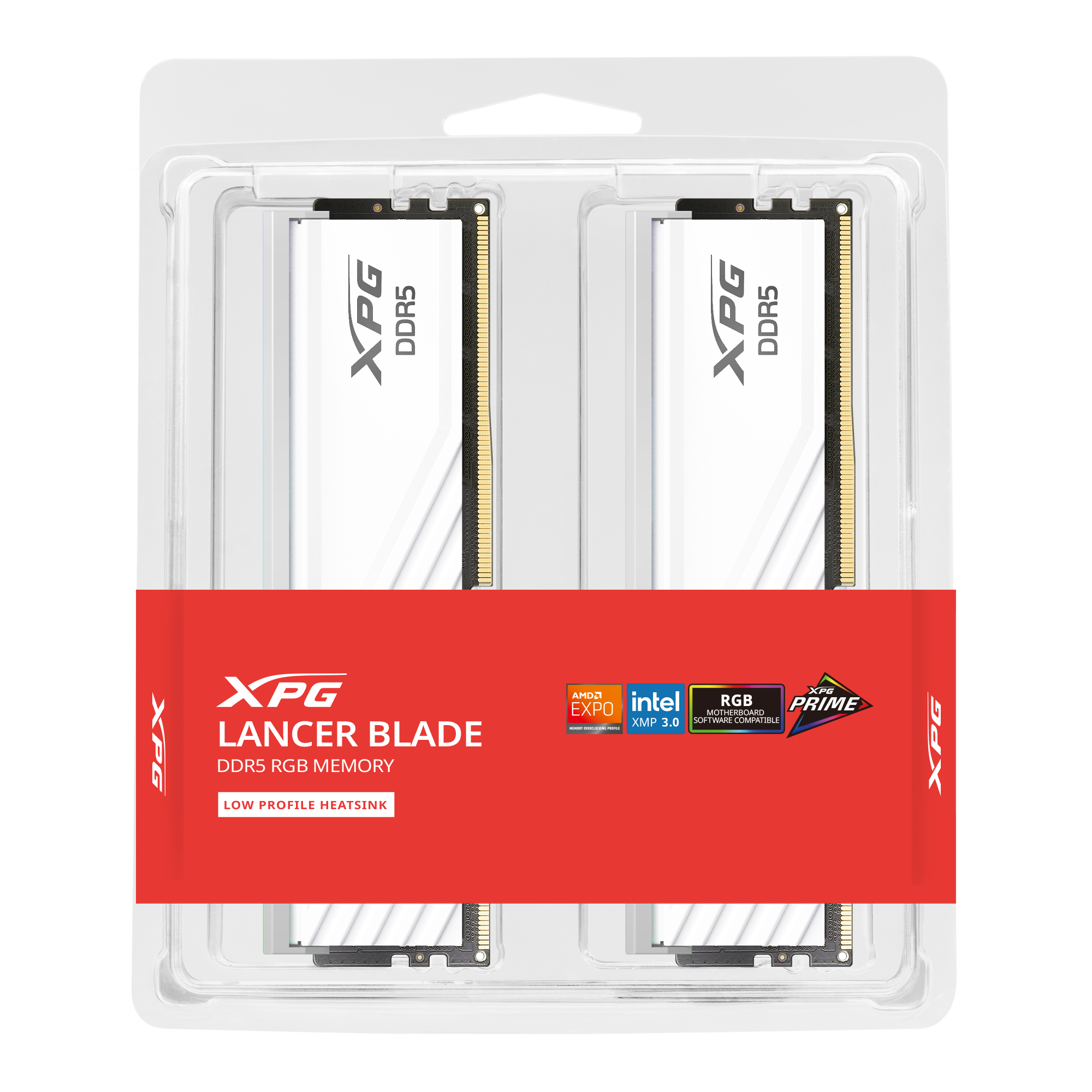 DIMM 32 GB DDR5-6000 (2x 16 GB) Dual-Kit, Arbeitsspeicher