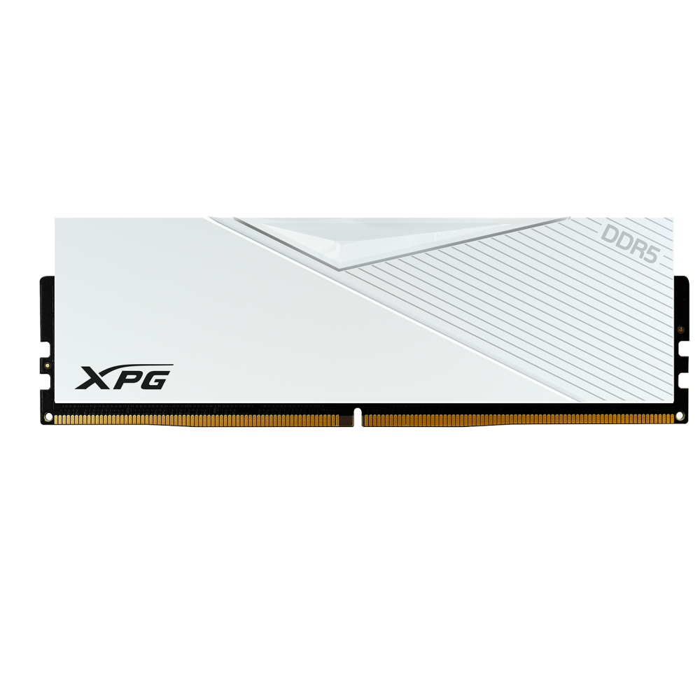 DIMM 32 GB DDR5-6000 (2x 16 GB) Dual-Kit, Arbeitsspeicher