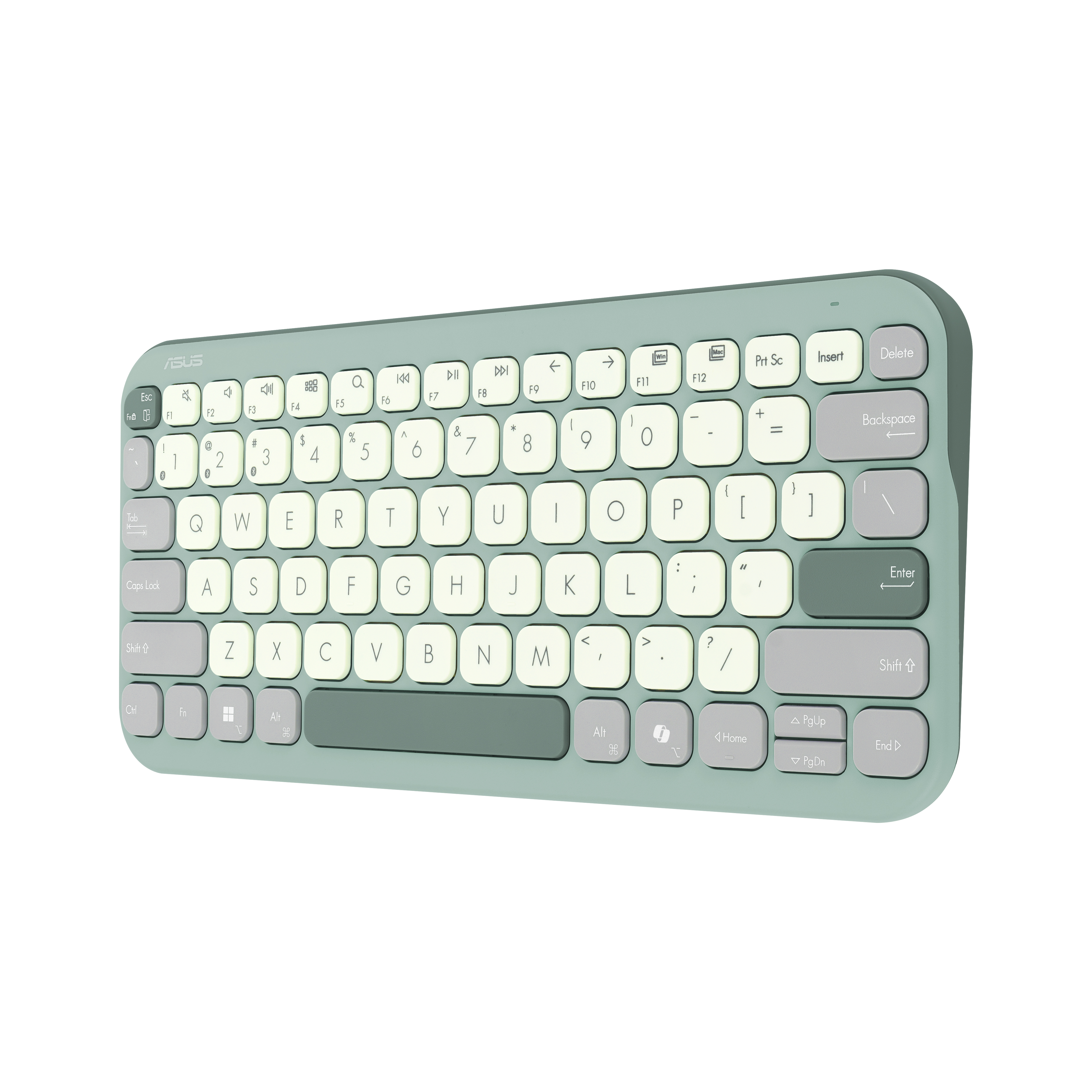 ASUS KW100 Marshmallow Tastatur grün