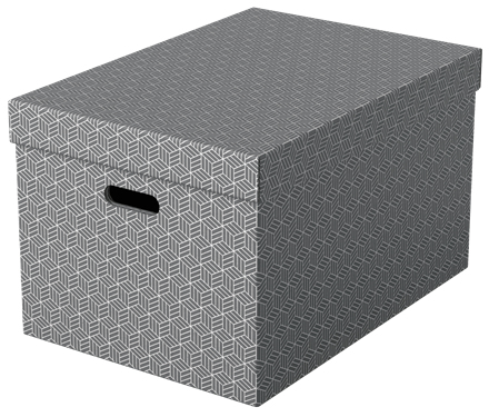 Esselte Home Aufbewahrungsboxen 50,0 l grau 35,5 x 51,0 x 30,5 cm, 3 St.