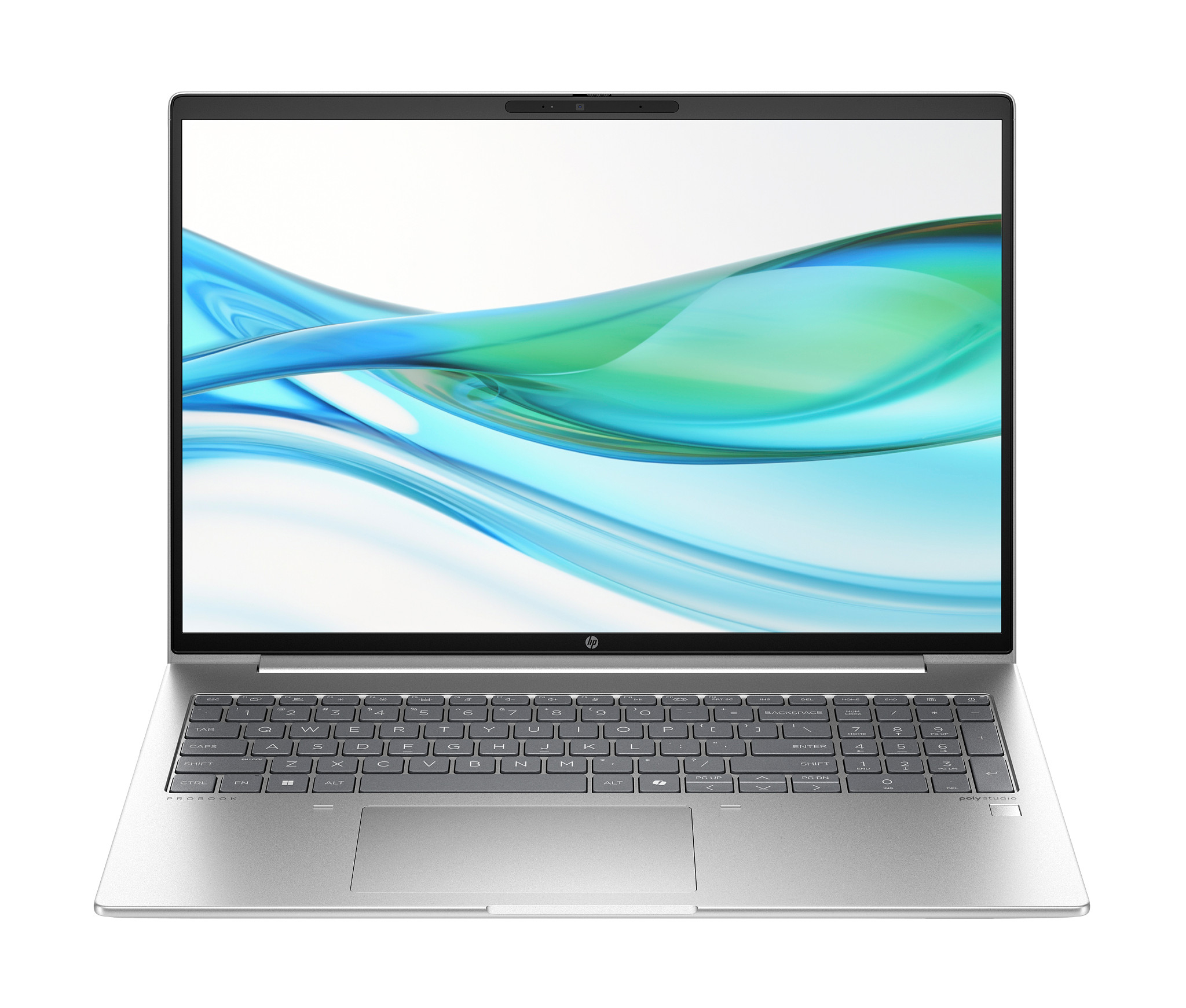 ProBook 460 G11 (D05CVES), Notebook