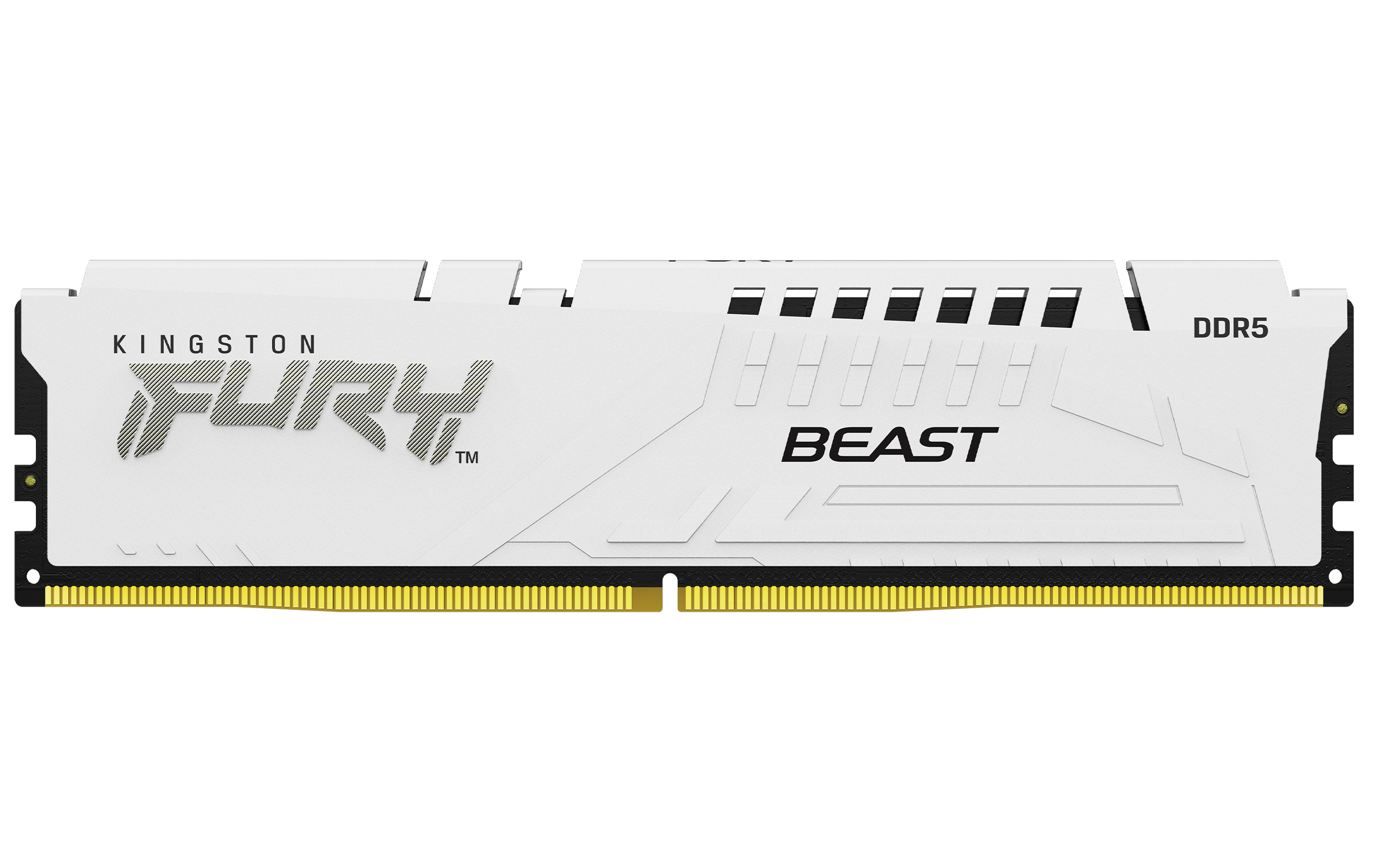 DDR5 32GB PC 5600 CL40 Kingston FURY Beast White XMP retail