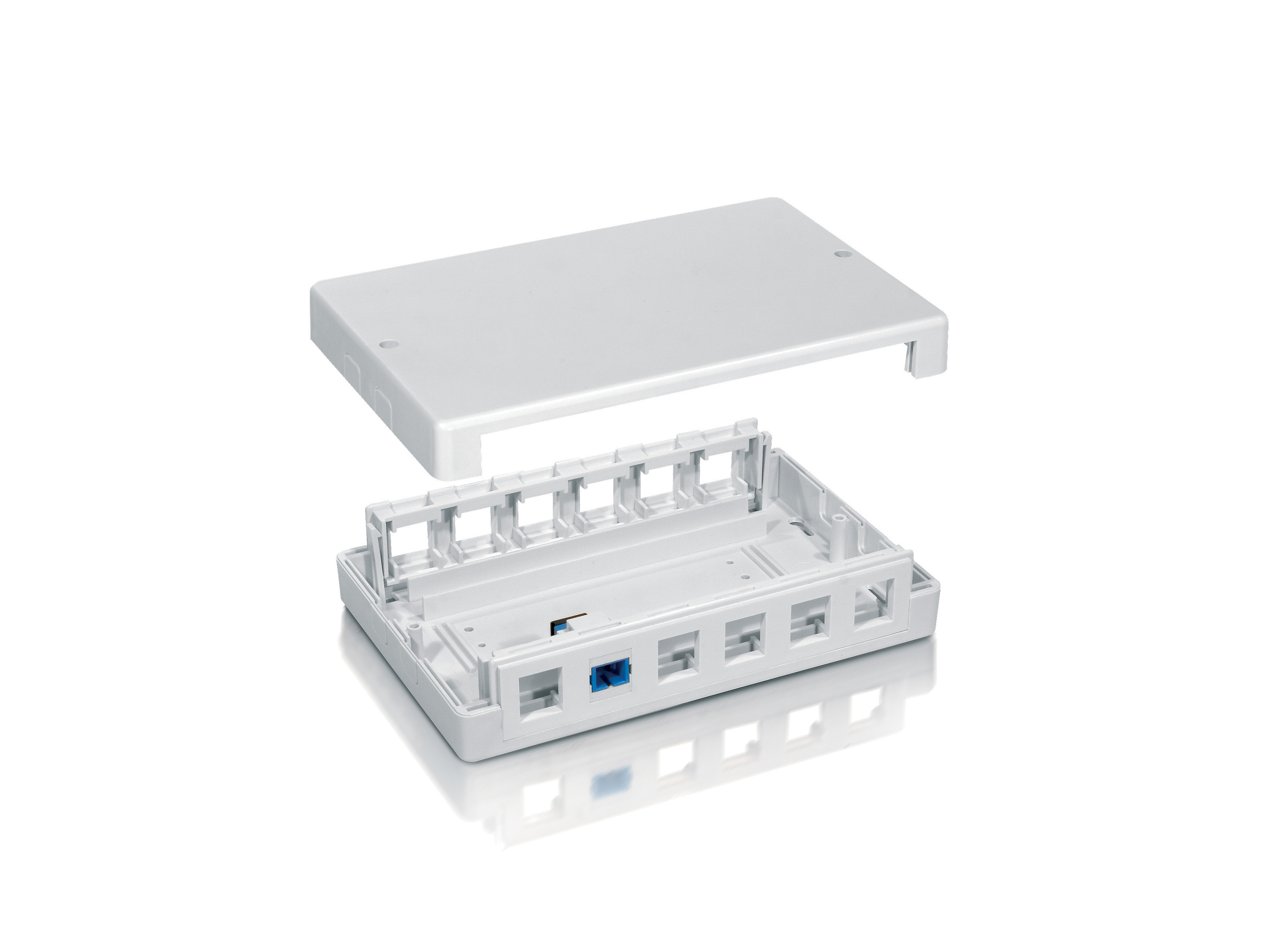 Equip Aufputzdose 12-Port Keystone ungeschirmt weiß Polybeutel