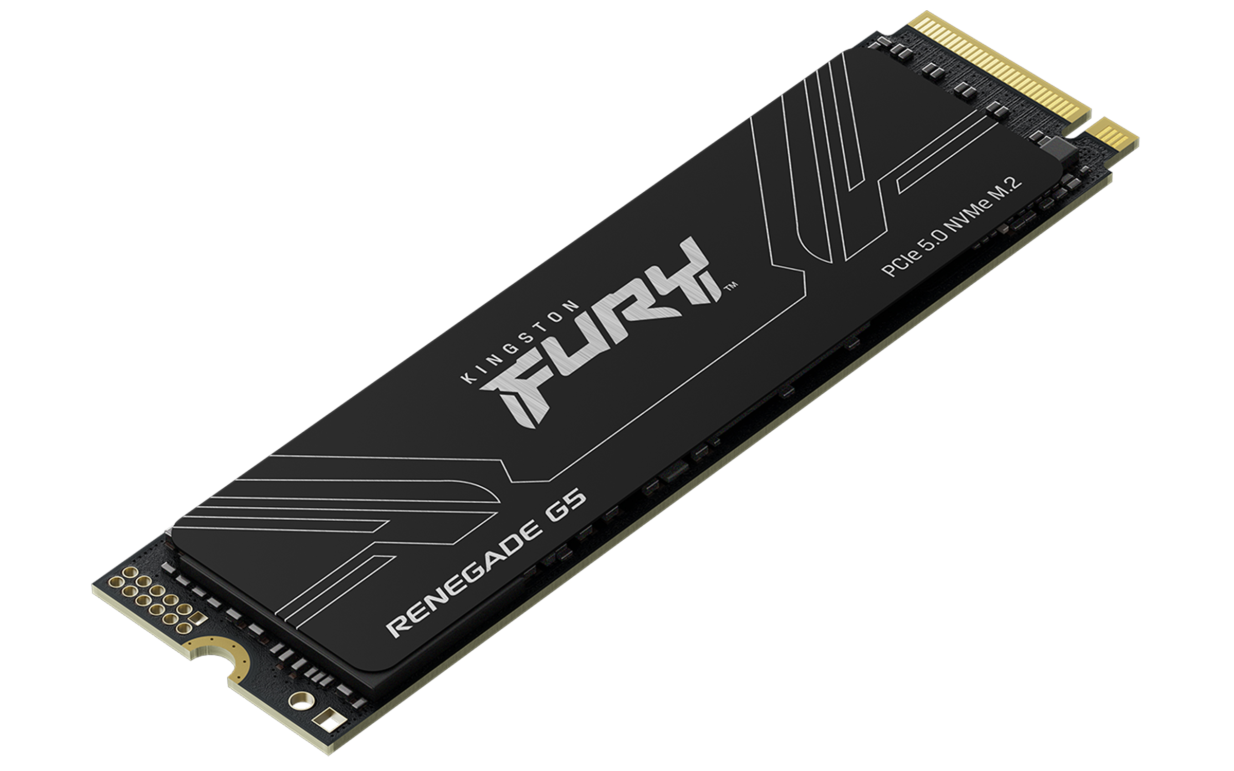 Renegade G5 8 TB, SSD