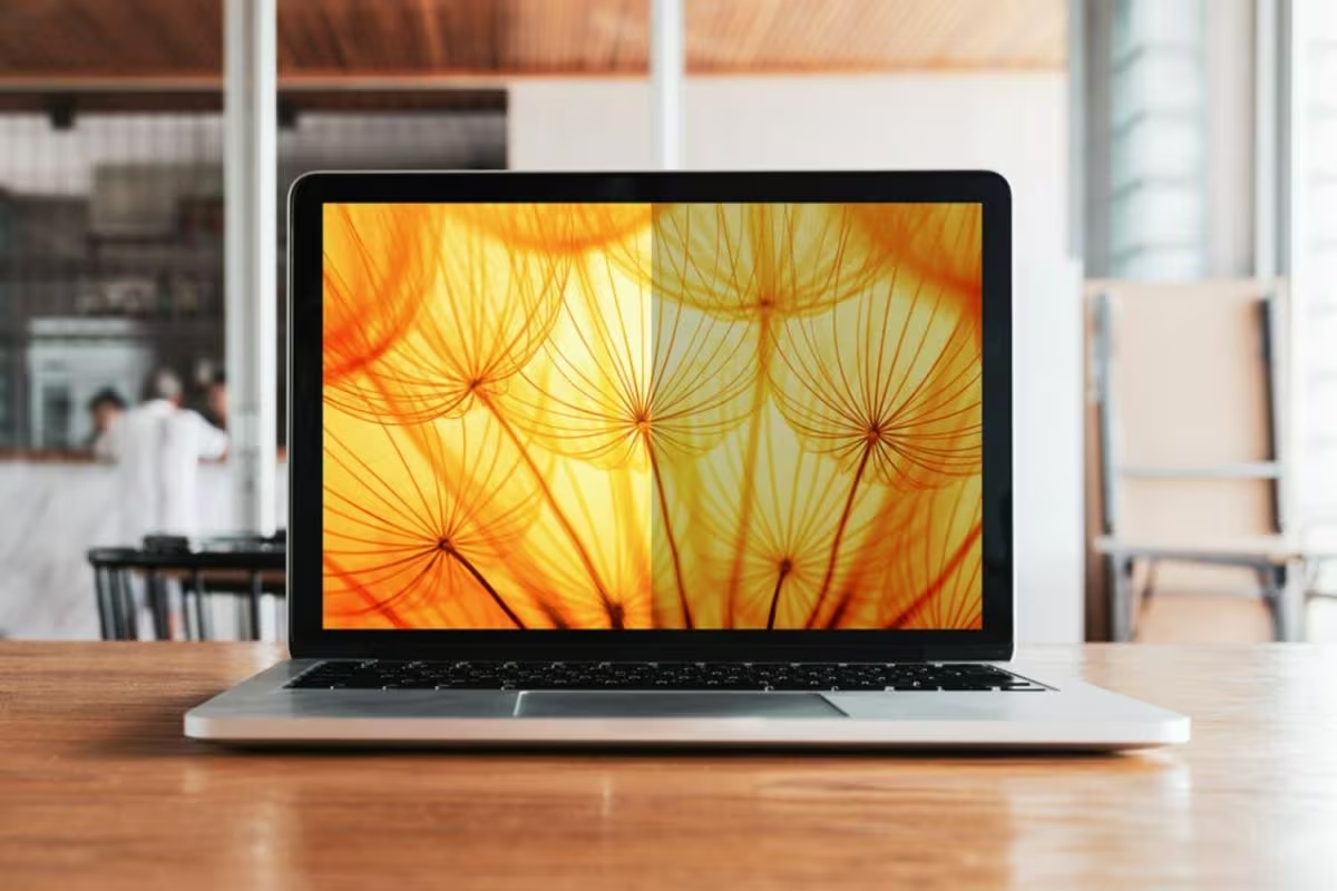 3M Bright Screen Blickschutzf. 12,3 Laptop (3:2) BP123C3E