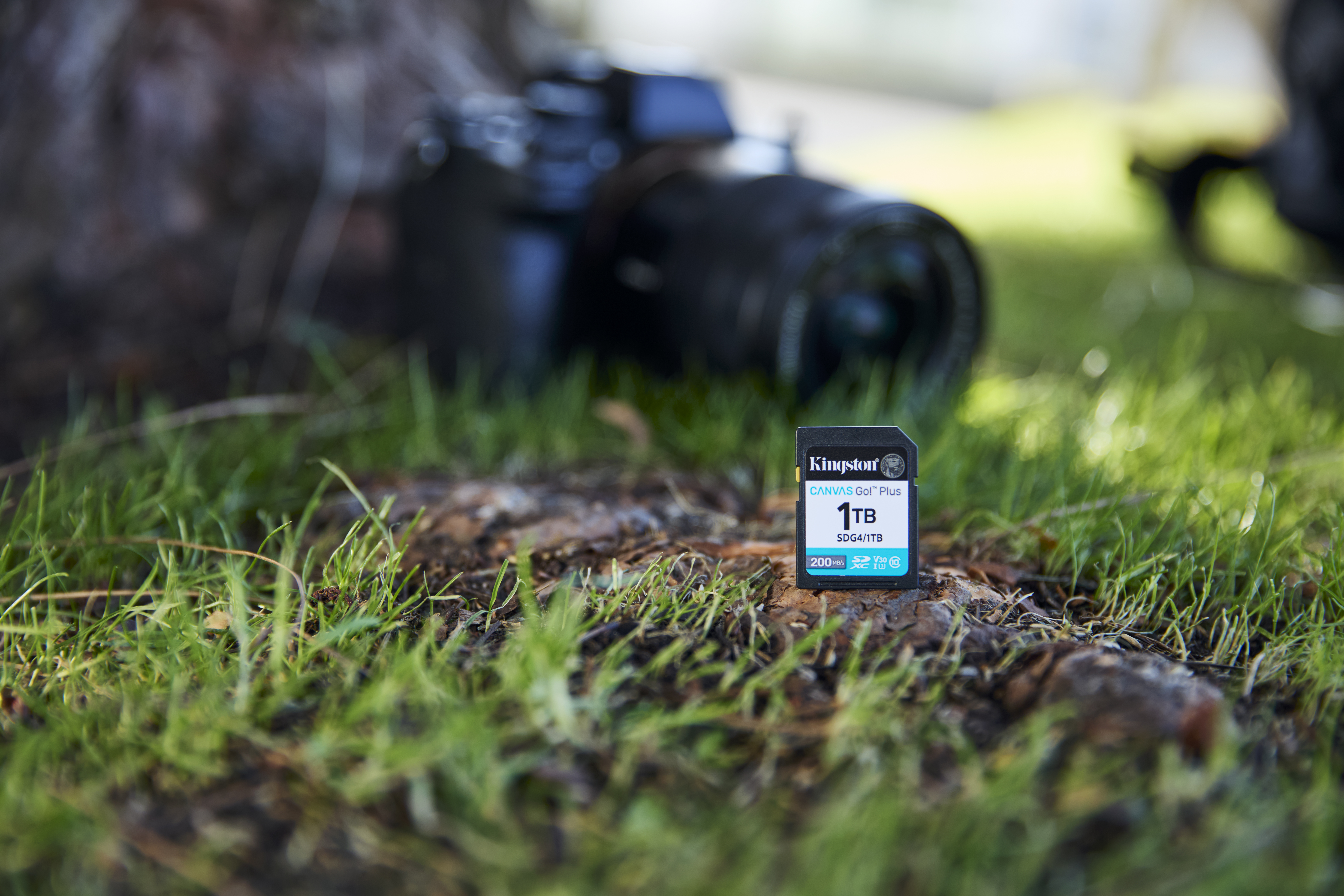 Canvas Go! Plus 1TB SDXC, Speicherkarte