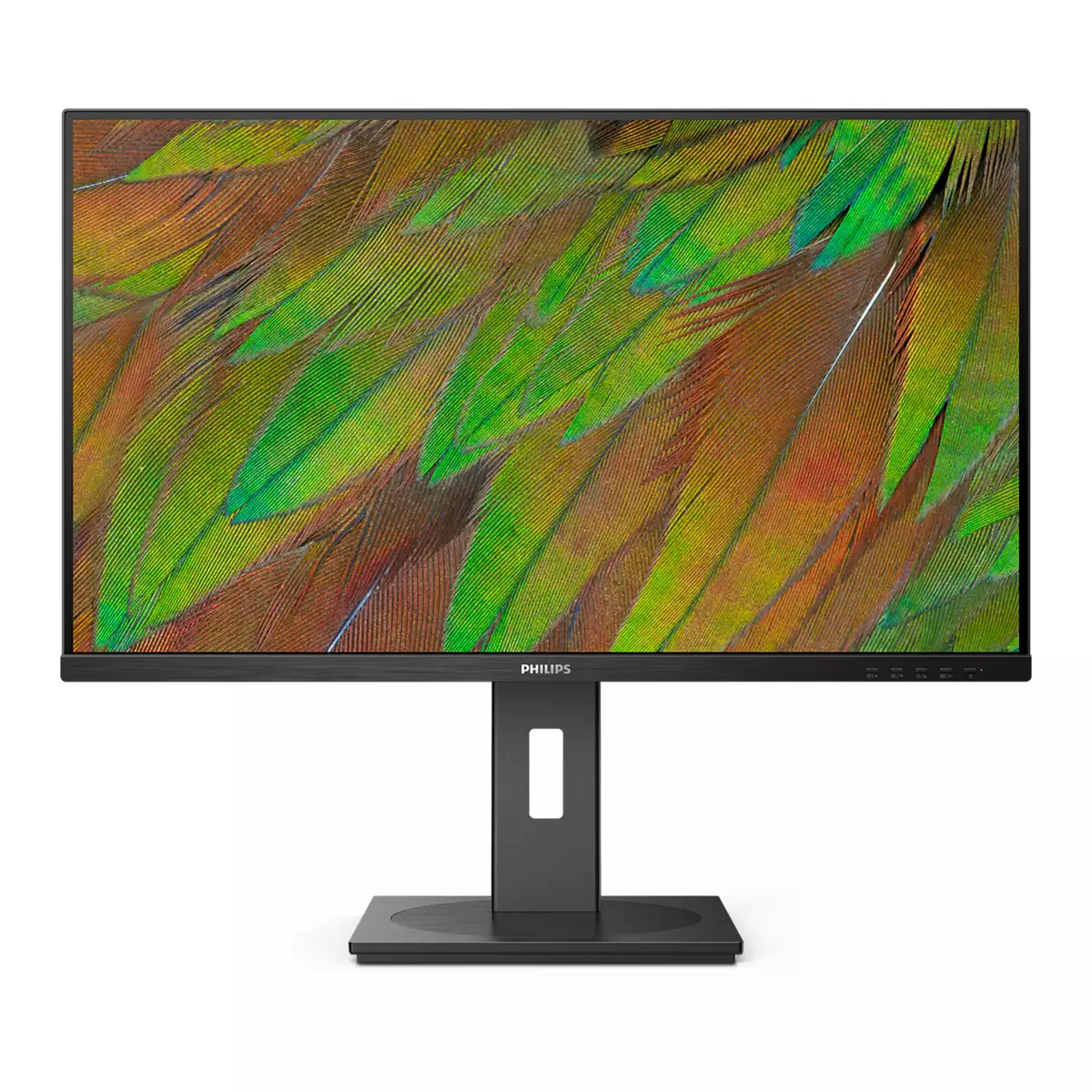Philips 80,0cm (31,5) 32B1N3800 16:09 HDMI+DP+USB black