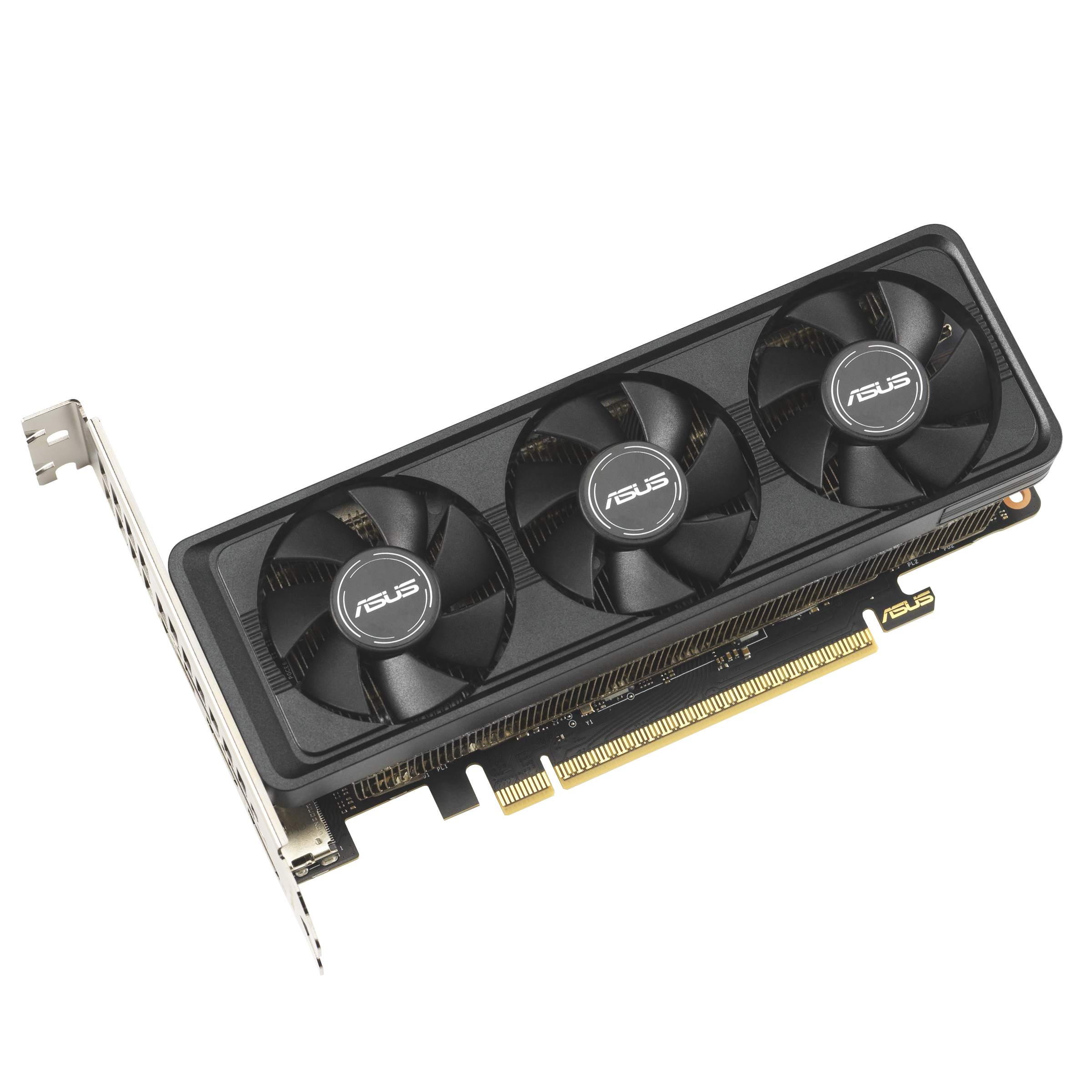 GeForce RTX 5060 LP BRK OC 8 GB, Grafikkarte