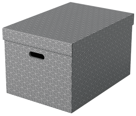 Esselte Home Aufbewahrungsboxen 50,0 l grau 35,5 x 51,0 x 30,5 cm, 3 St.