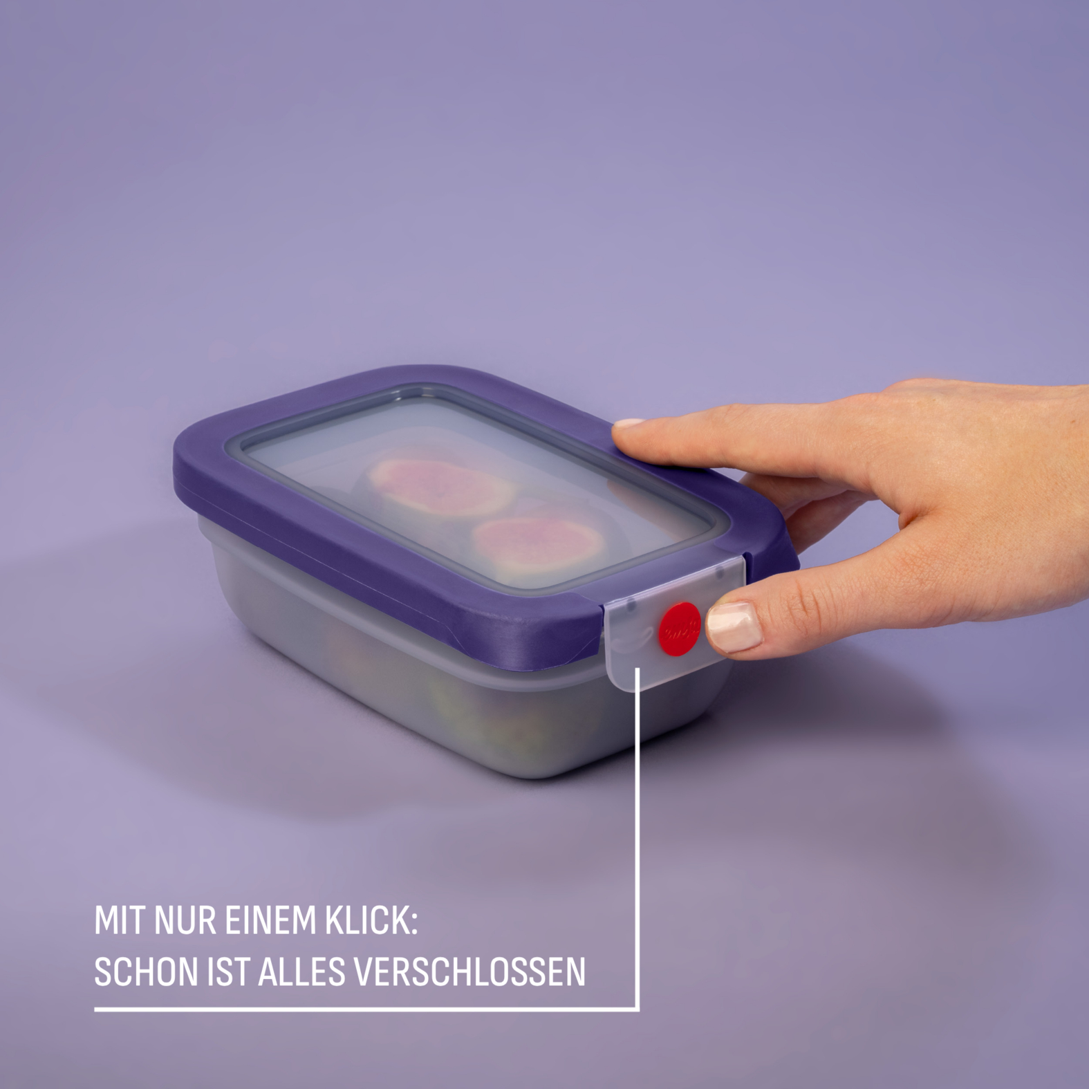 emsa Frischhaltedosen-Set ONECLICK violett 0,5 l, 3 St.