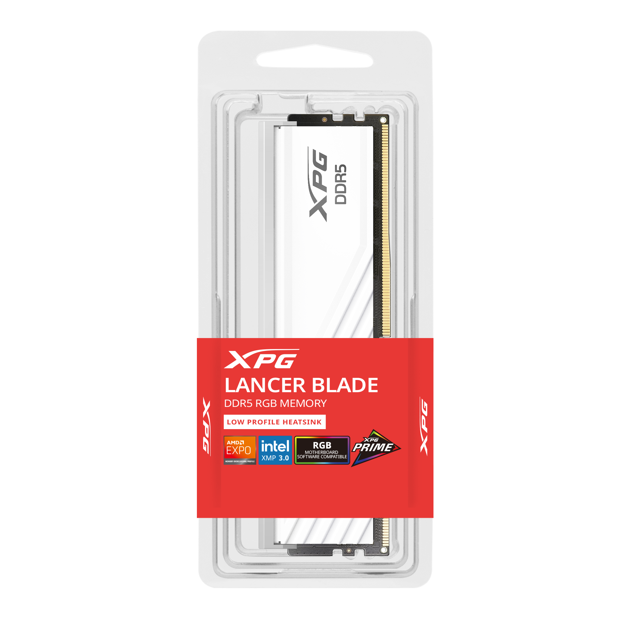 DIMM 16 GB DDR5-6000 (1x 16 GB), Arbeitsspeicher