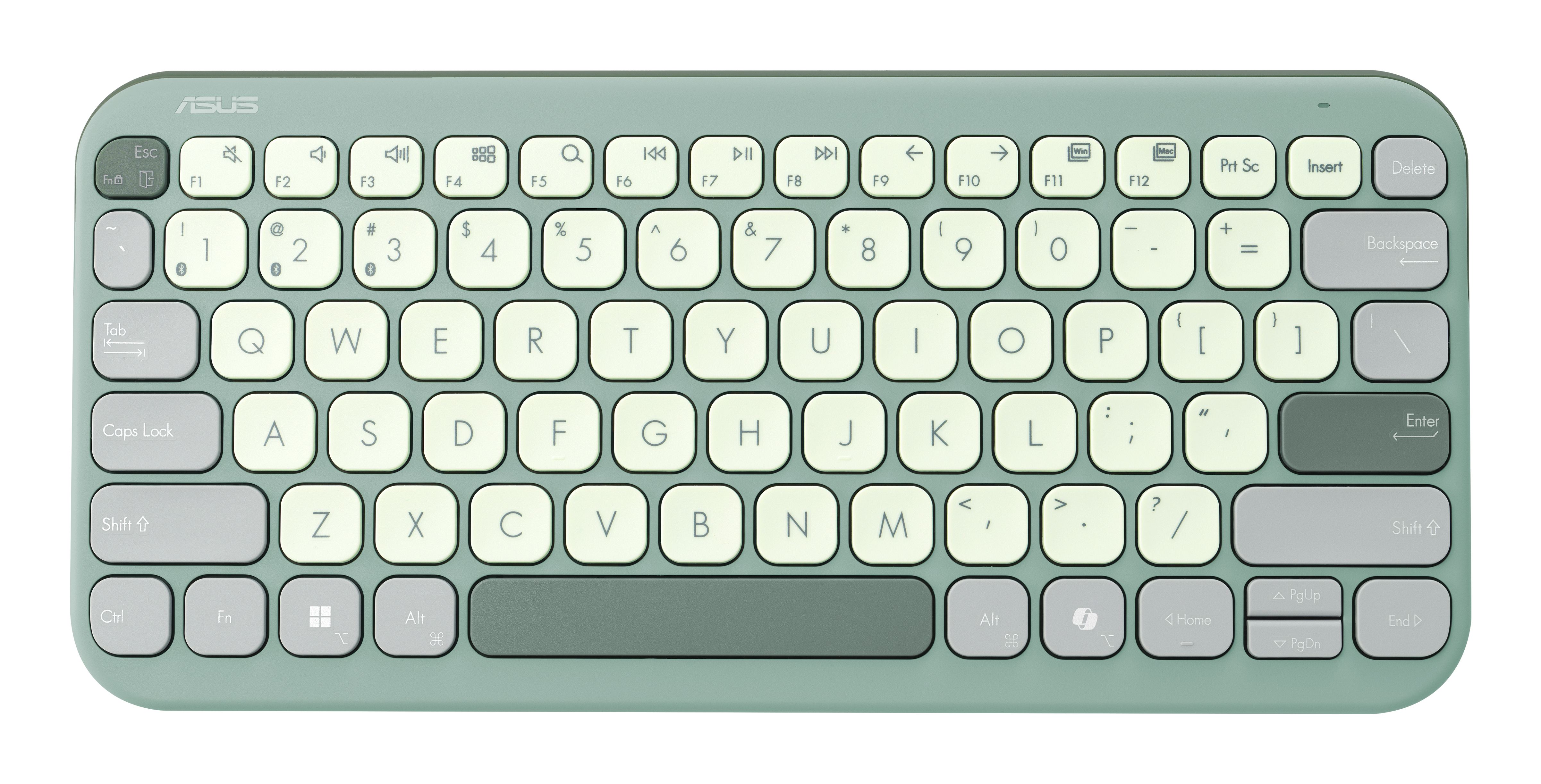 ASUS KW100 Marshmallow Tastatur grün