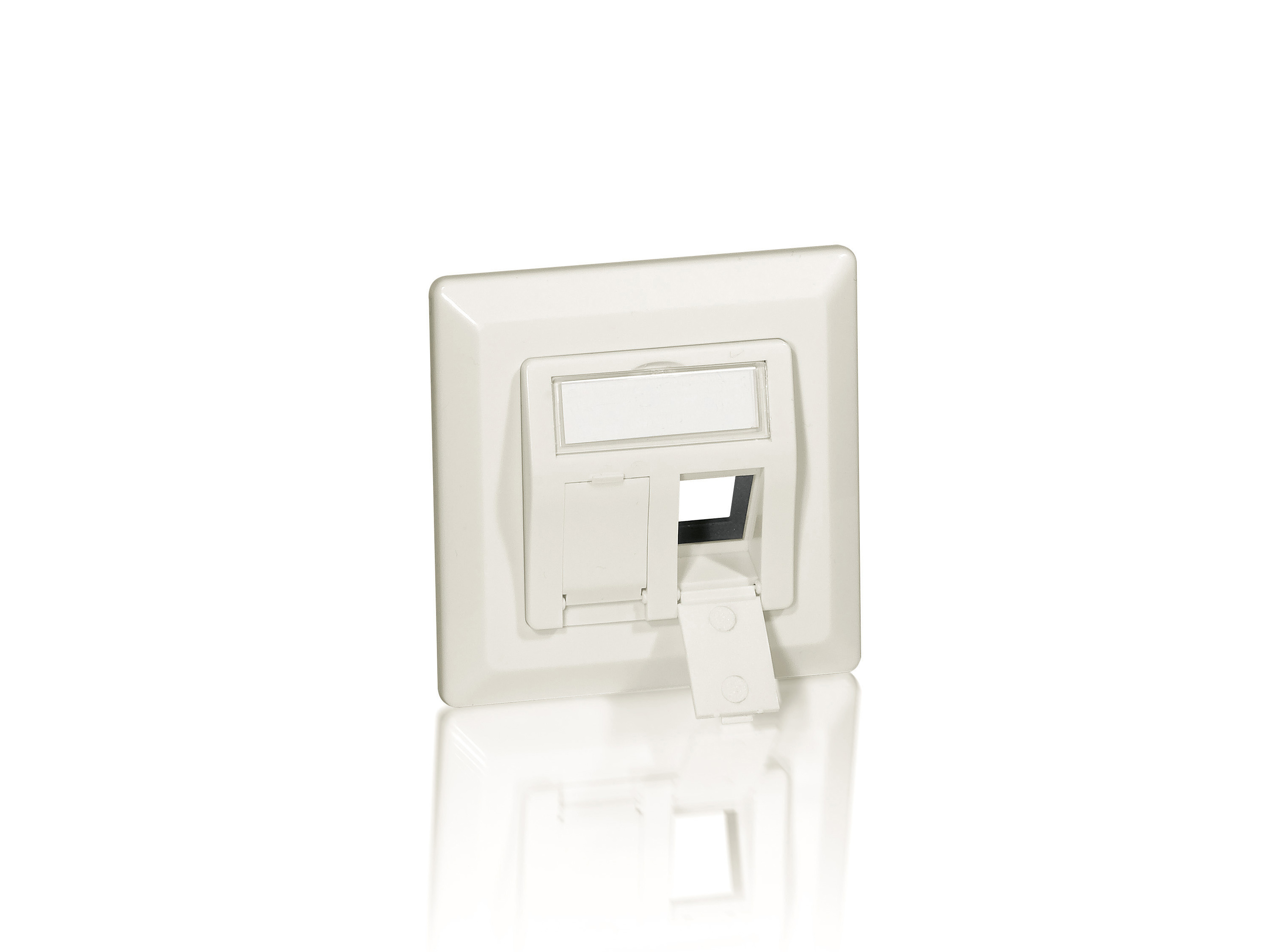 Equip Frontplatte 2xKeystone Jack 45° 5Stk RAL1013 Polybeutel