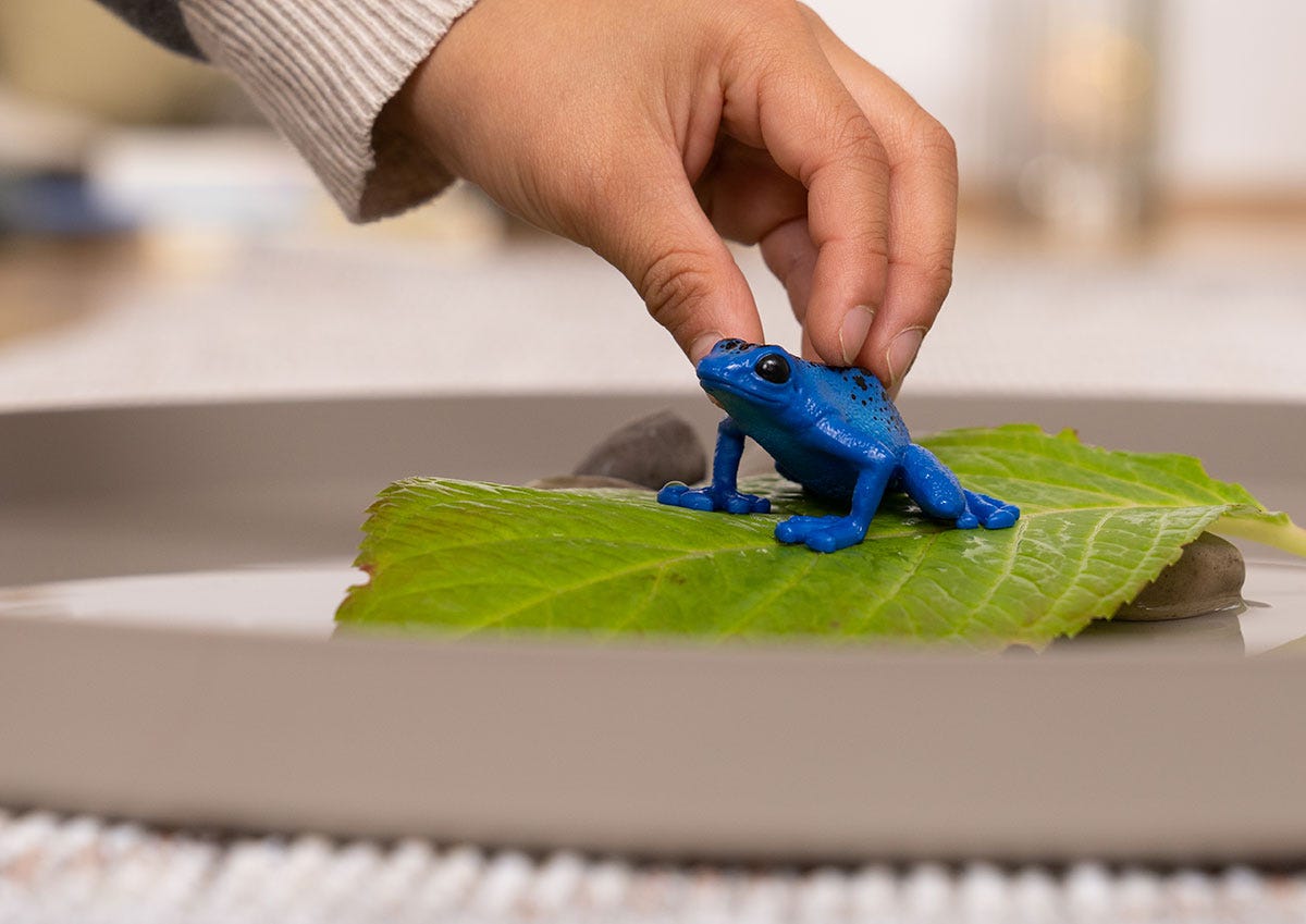 Wild Life Blauer Pfeilgiftfrosch, Spielfigur