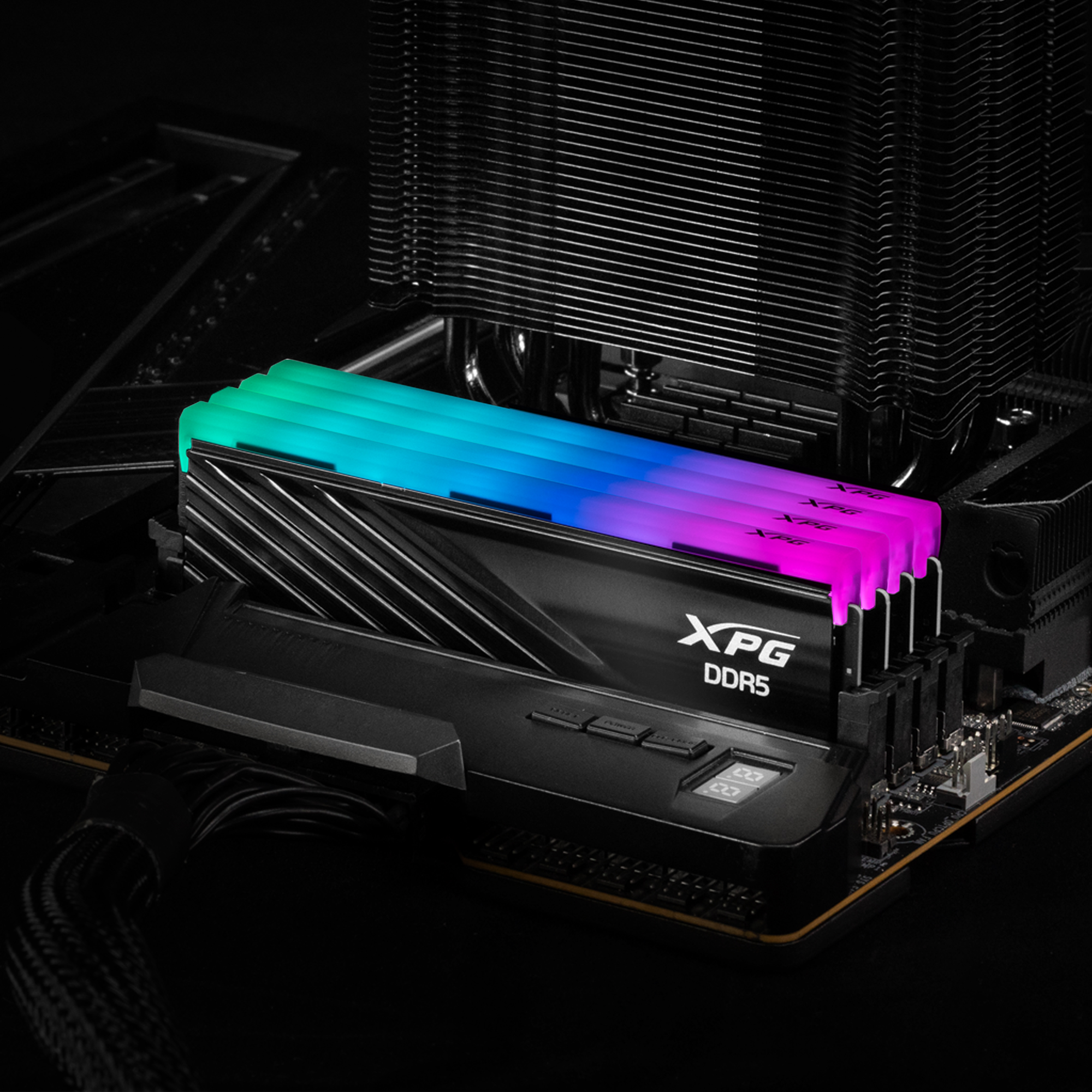 DIMM 32 GB DDR5-6000 (2x 16 GB) Dual-Kit, Arbeitsspeicher