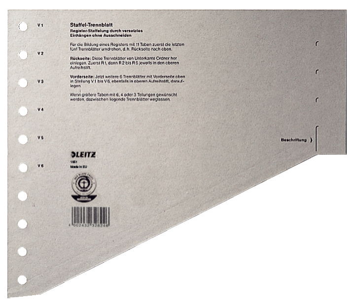 LEITZ Trennblätter 1651 DIN A4 blanko grau, 200 g/qm, 100 St.