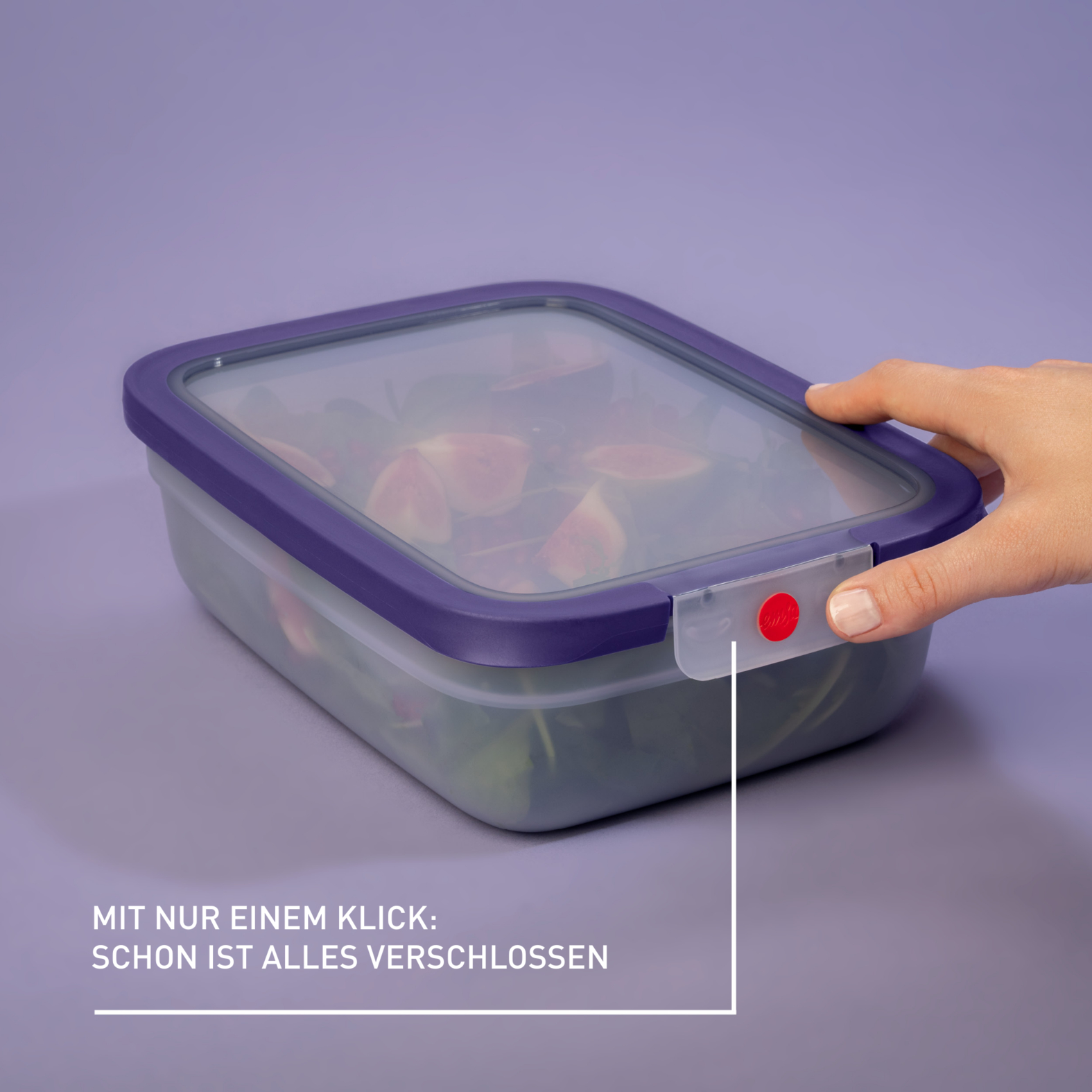 emsa Frischhaltedose ONECLICK 8,5 cm hoch violett 2,3 l, 1 St.