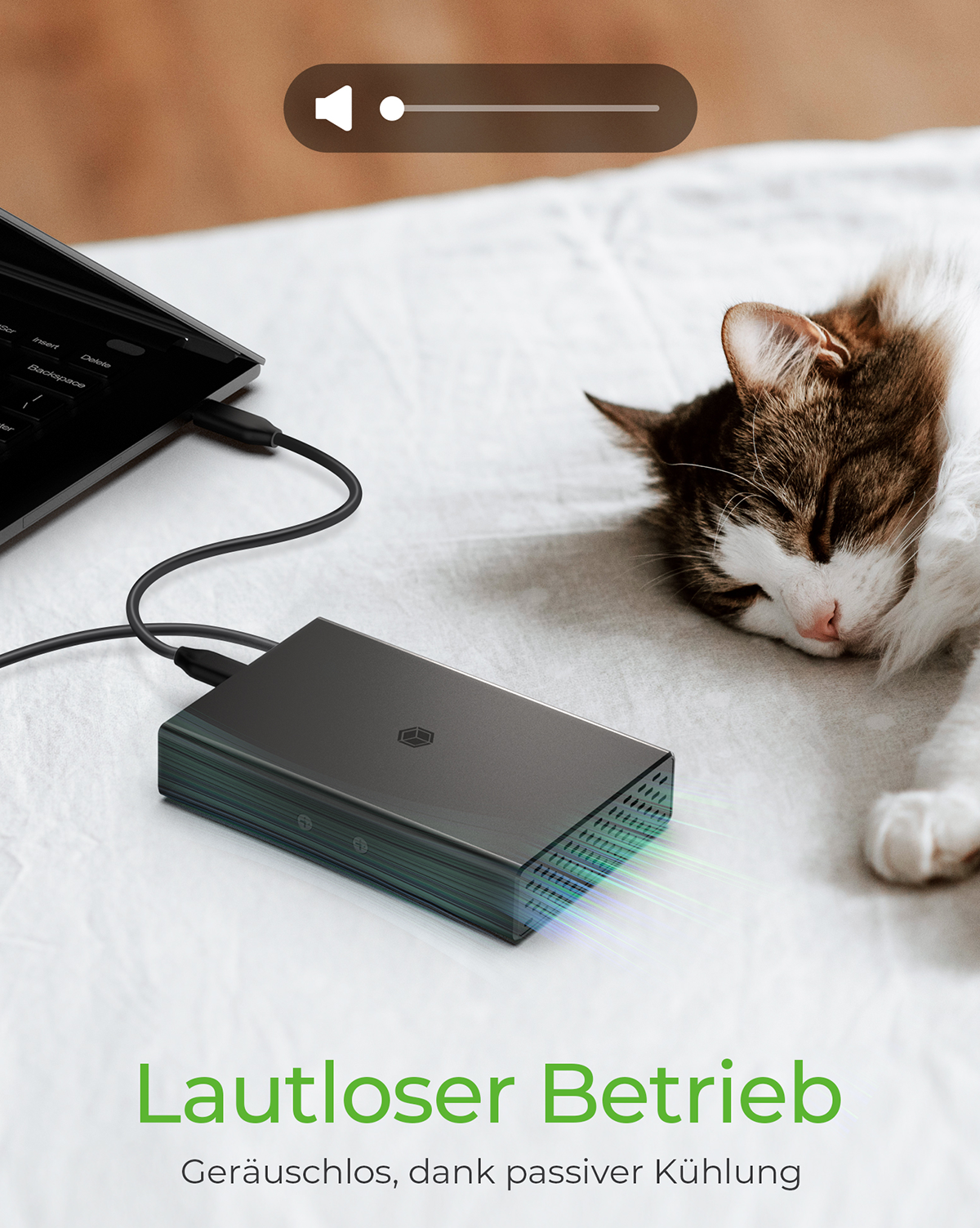 Geh. IcyBox USB 3.2(Gen2) 2x2,5 SATA SSD IB-RD2253-C31 retail