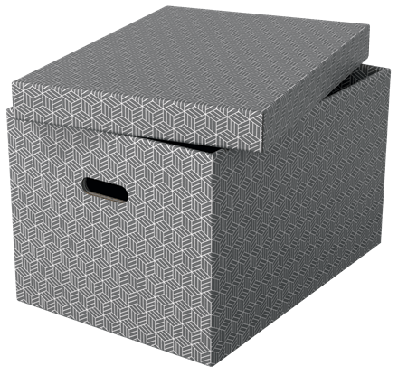 Esselte Home Aufbewahrungsboxen 50,0 l grau 35,5 x 51,0 x 30,5 cm, 3 St.