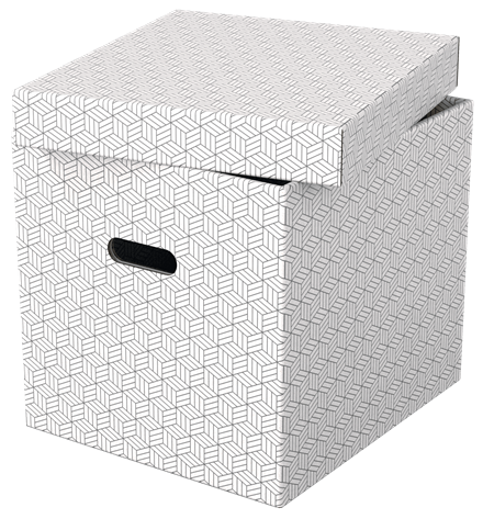 Esselte Home Aufbewahrungsboxen 33,0 l weiß 32,0 x 36,5 x 31,5 cm, 3 St.