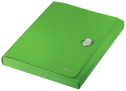 LEITZ Heftbox Recycle 4623 4,0 cm grün, 1 St.