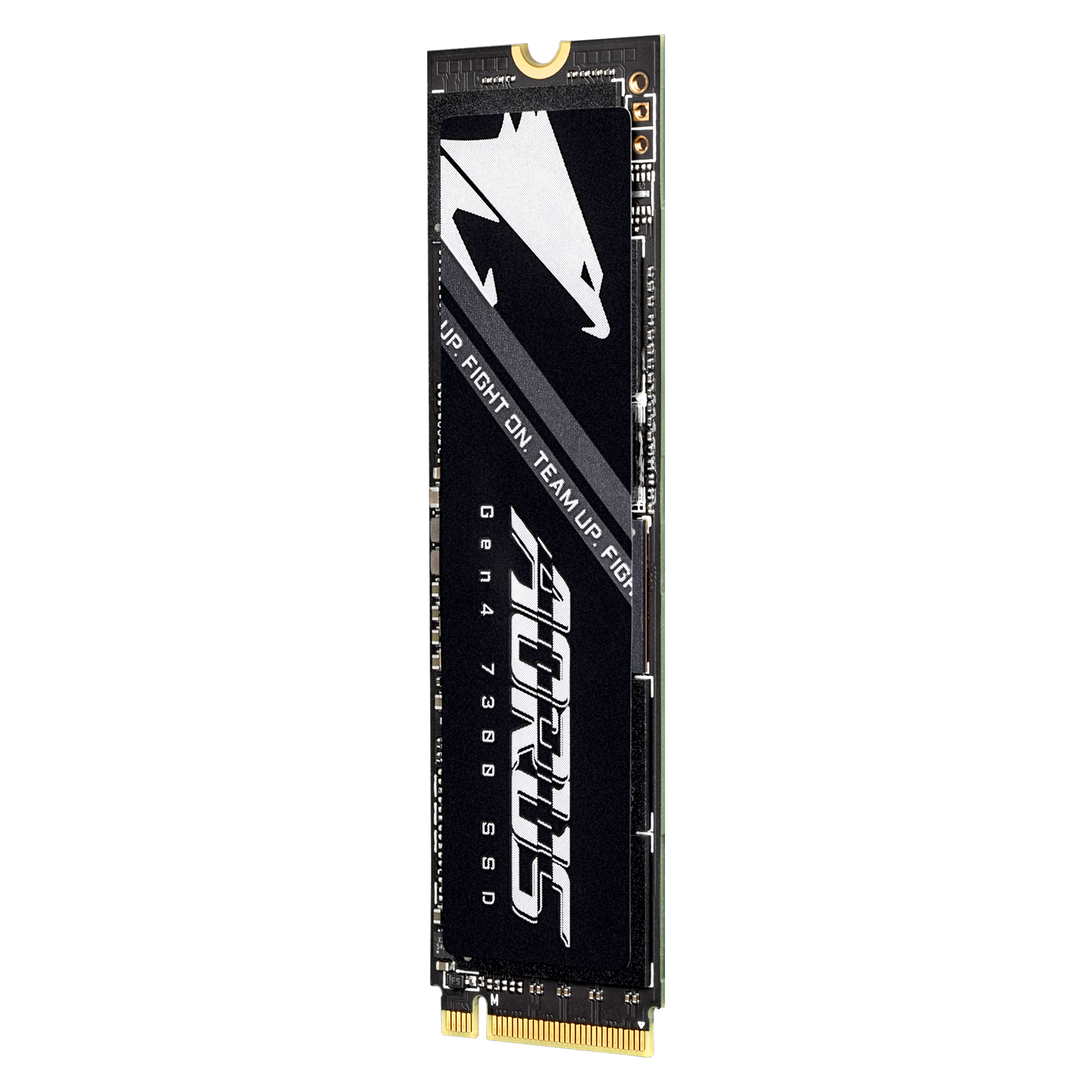 AORUS Gen4 7300 1 TB, SSD