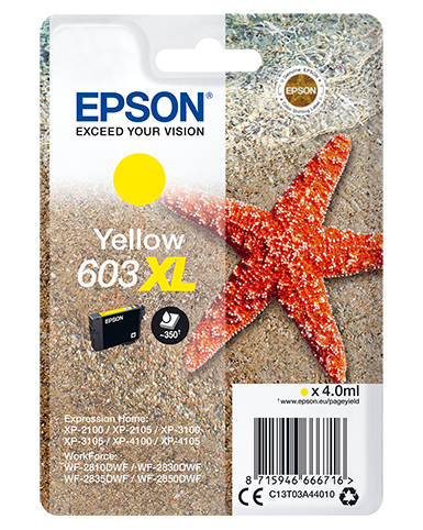 EPSON 1LB Singlepack Yellow 603XL Ink w/s