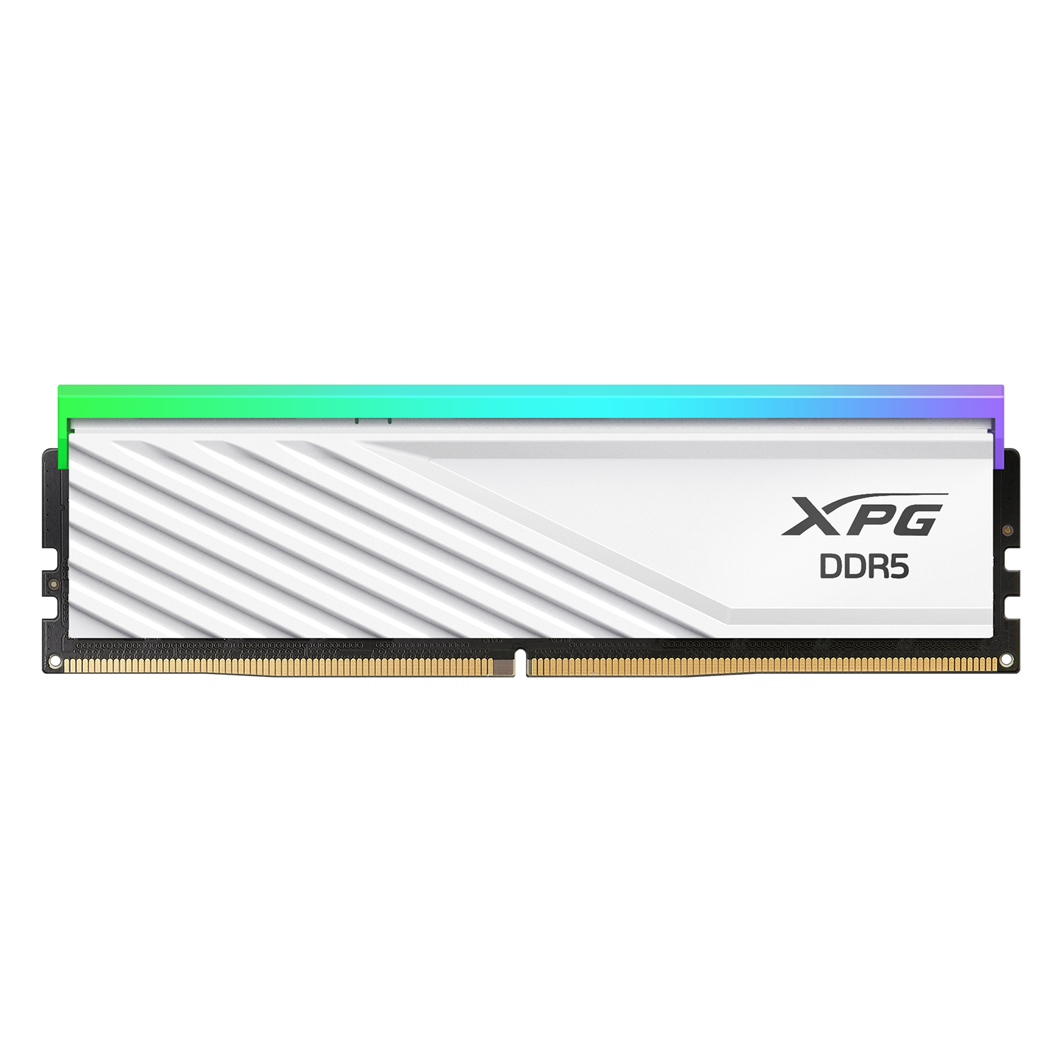 DIMM 16 GB DDR5-6000 (1x 16 GB), Arbeitsspeicher
