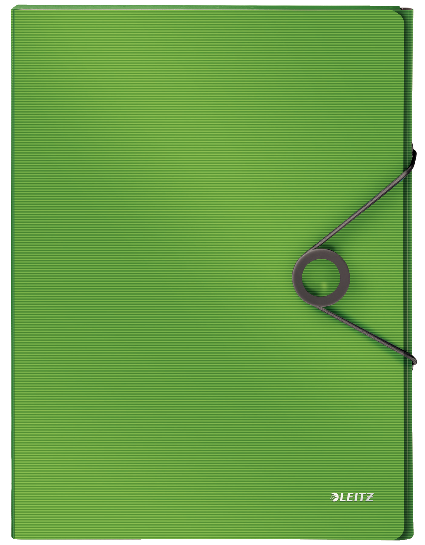 LEITZ Heftbox Solid 4568 3,0 cm hellgrün, 1 St.